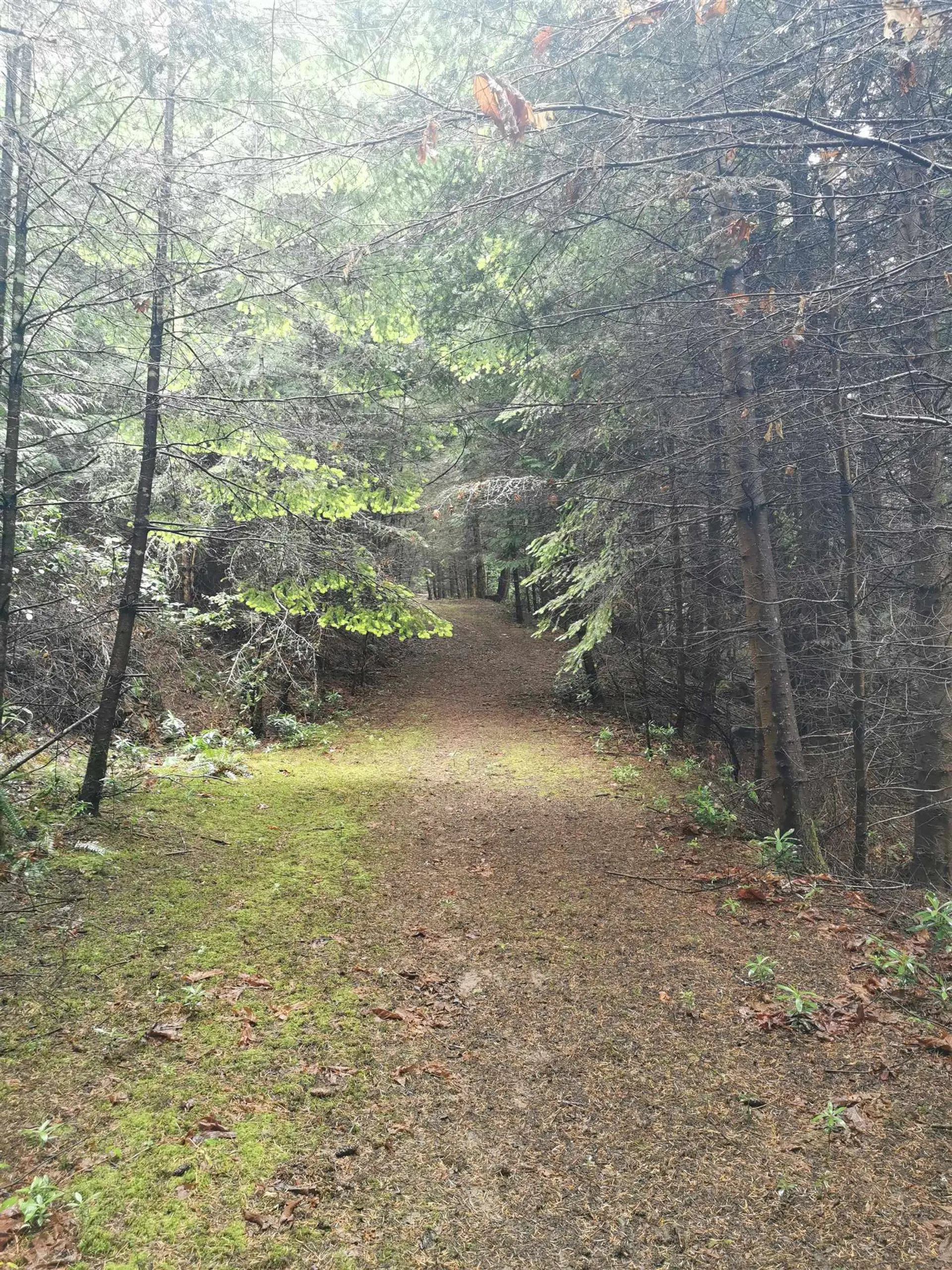 Property at 706 FERNHILL ROAD, Mayne Island, BC