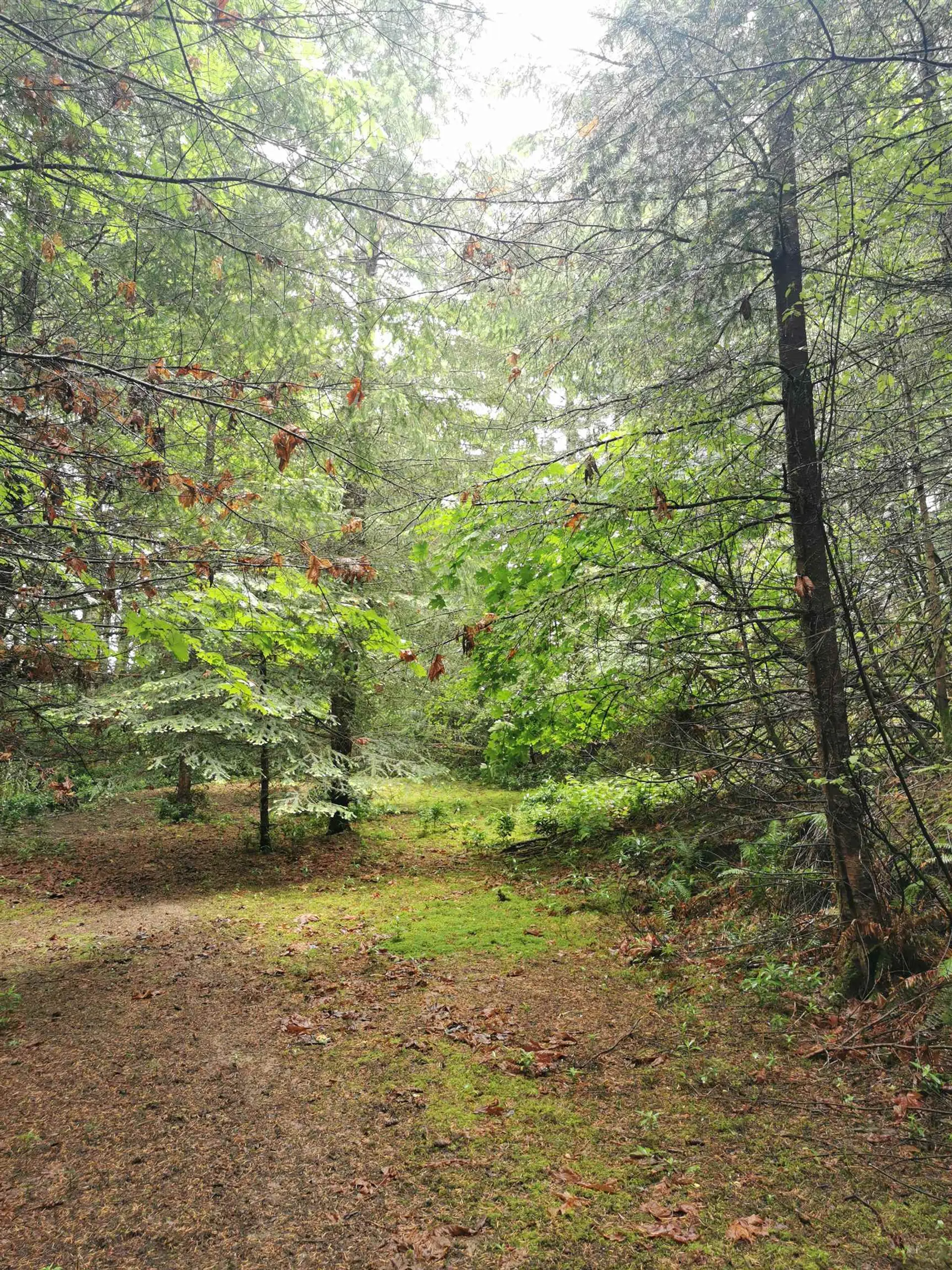 Property at 706 FERNHILL ROAD, Mayne Island, BC