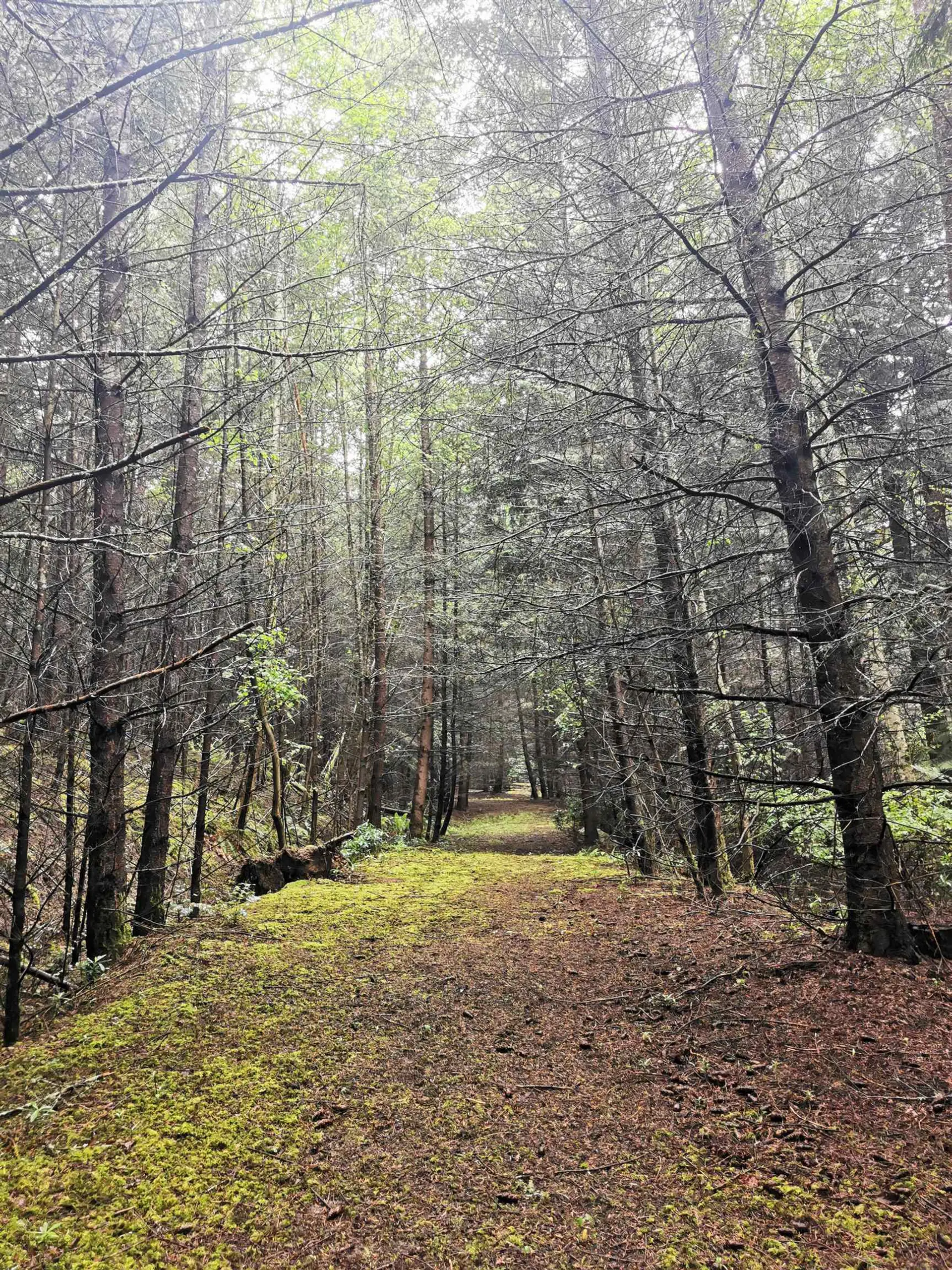 Property at 706 FERNHILL ROAD, Mayne Island, BC