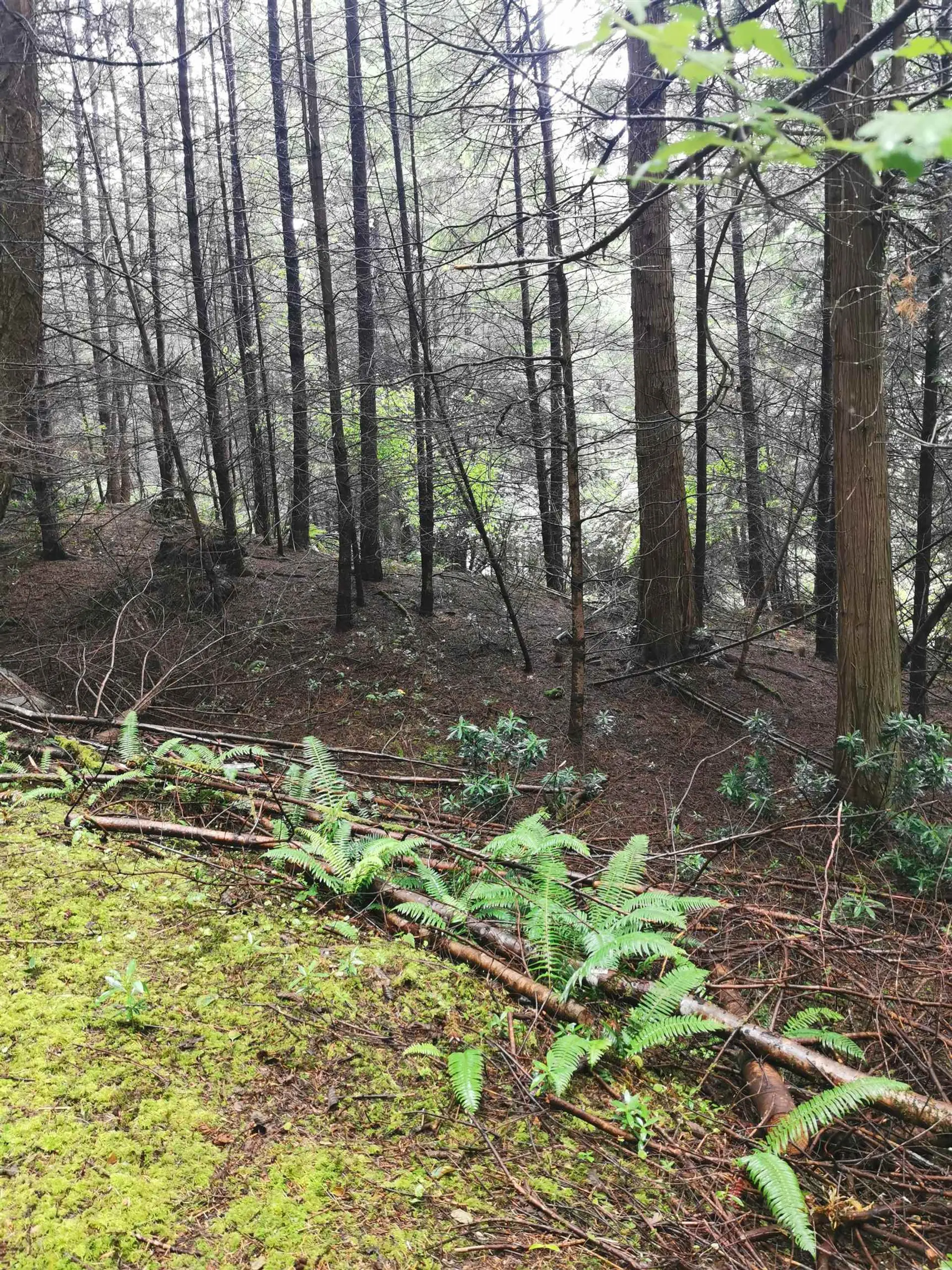 Property at 706 FERNHILL ROAD, Mayne Island, BC