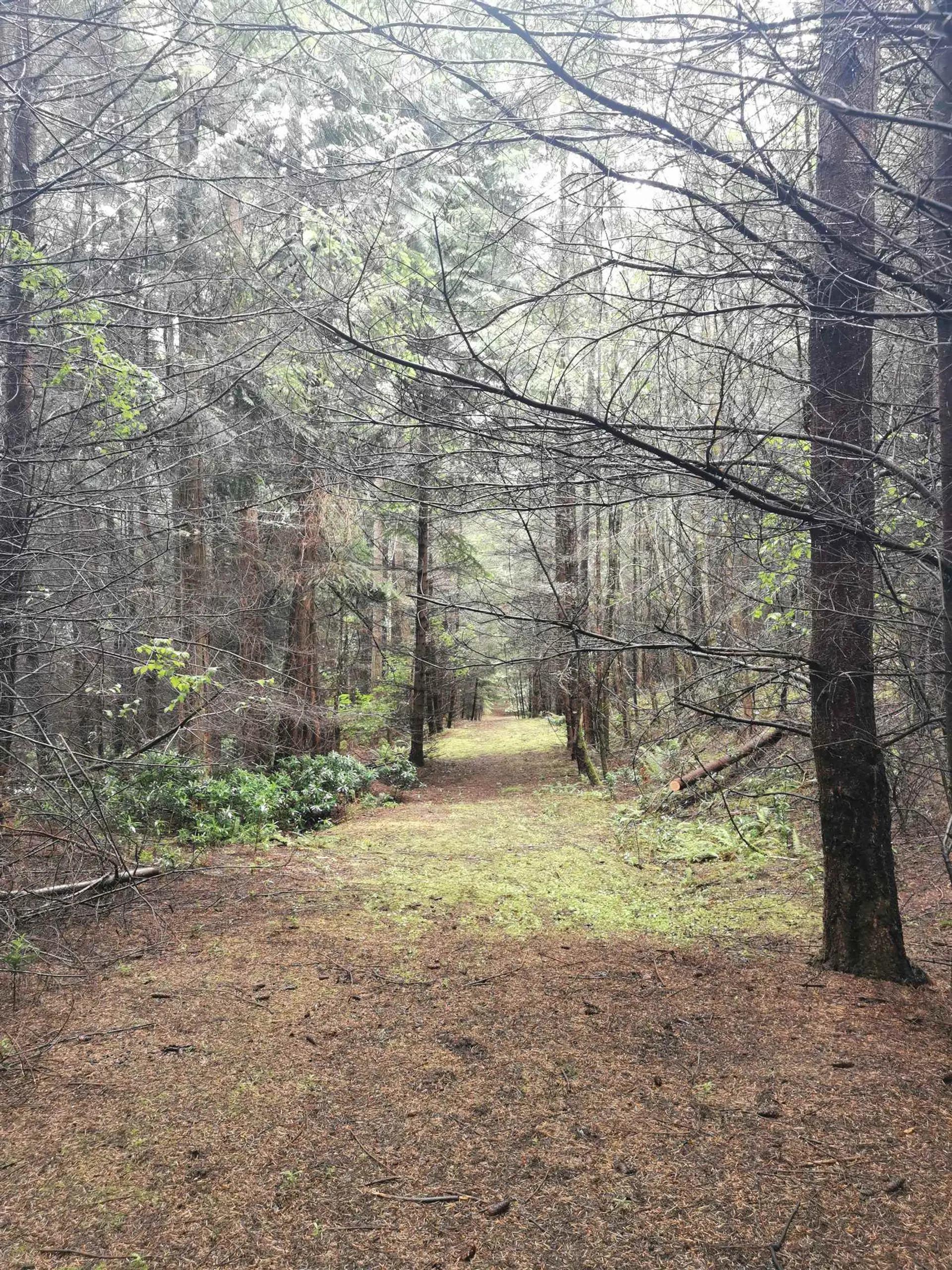 Property at 706 FERNHILL ROAD, Mayne Island, BC