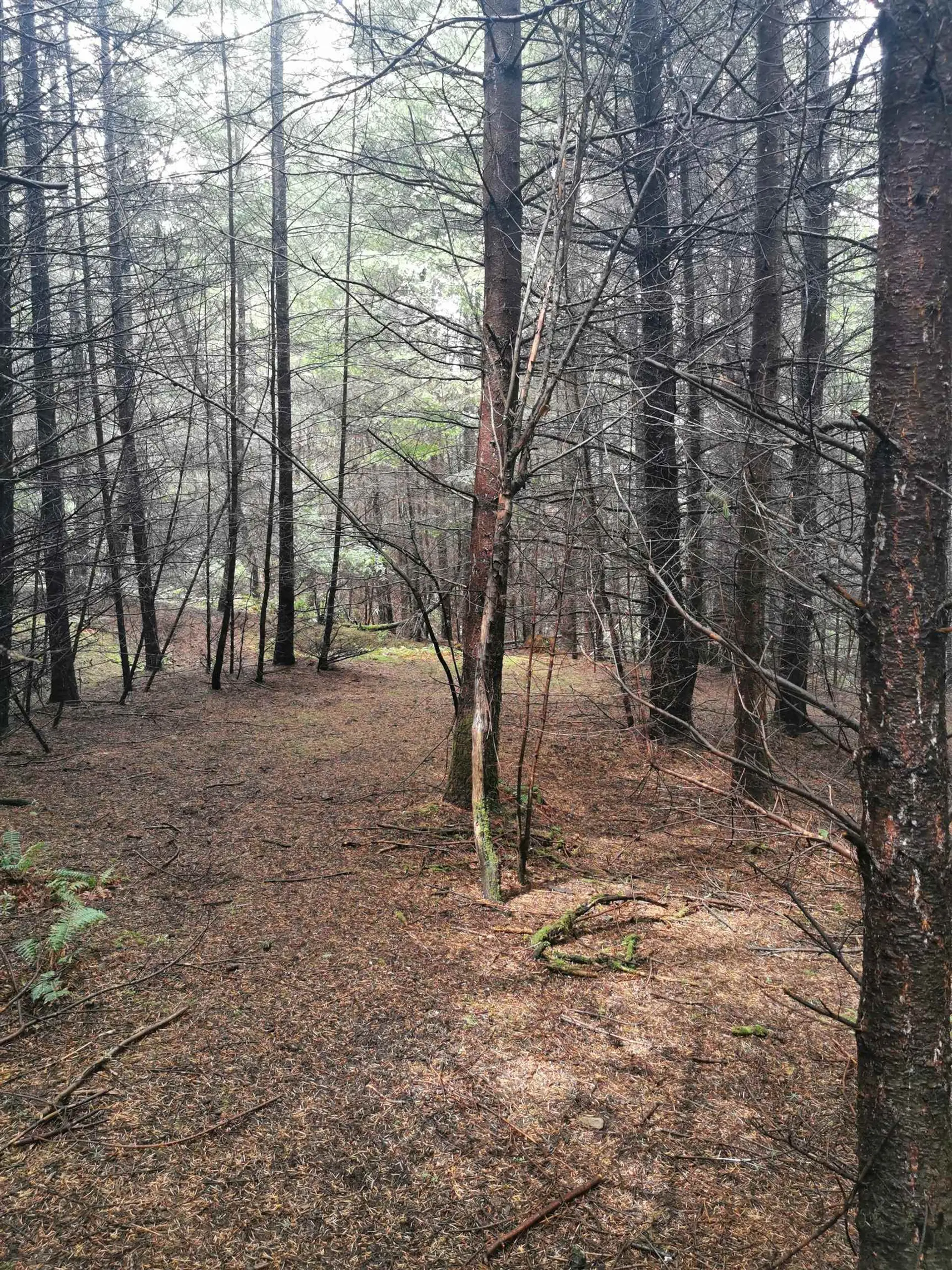 Property at 706 FERNHILL ROAD, Mayne Island, BC