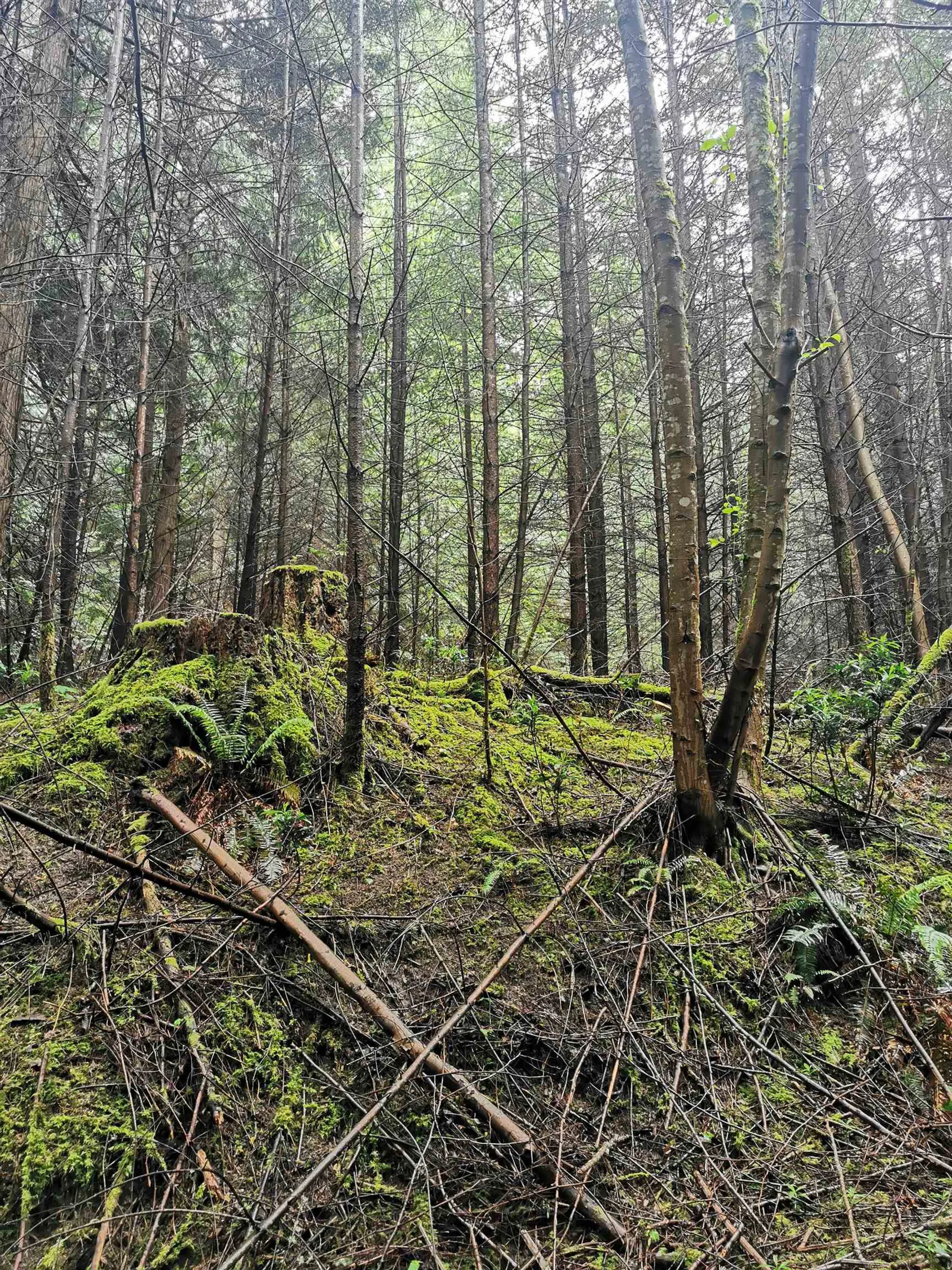 Property at 706 FERNHILL ROAD, Mayne Island, BC