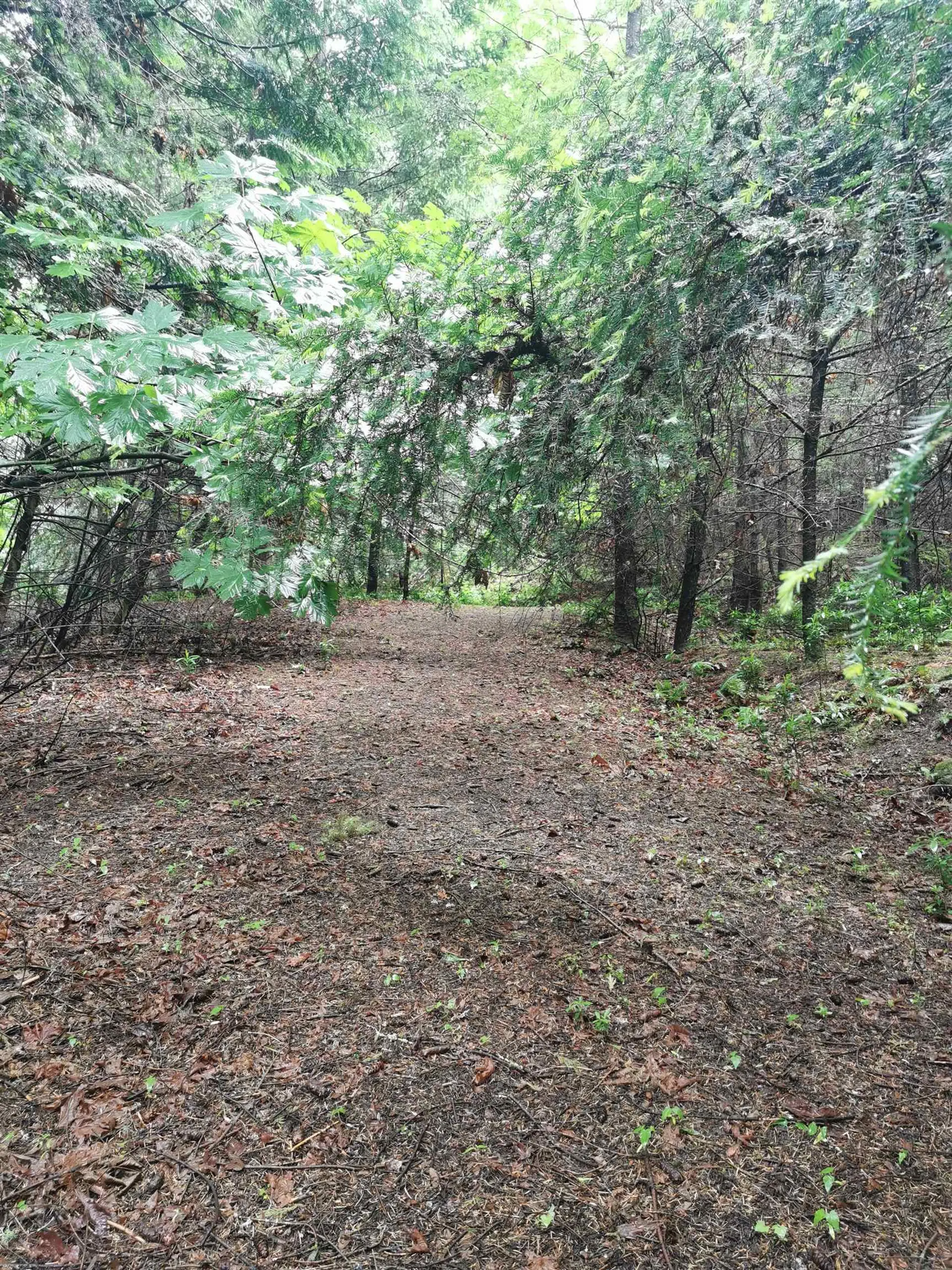 Property at 706 FERNHILL ROAD, Mayne Island, BC