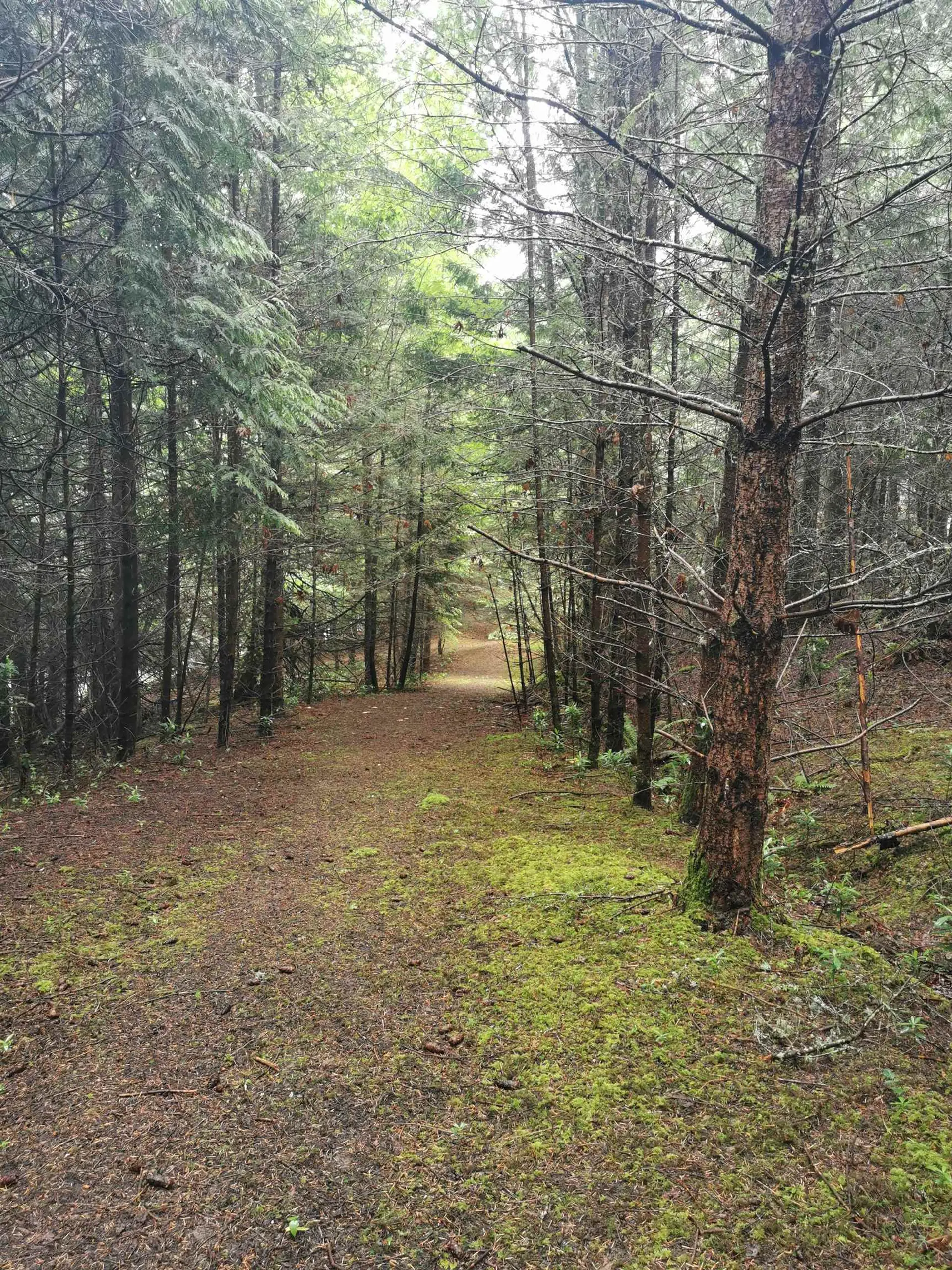 Property at 706 FERNHILL ROAD, Mayne Island, BC