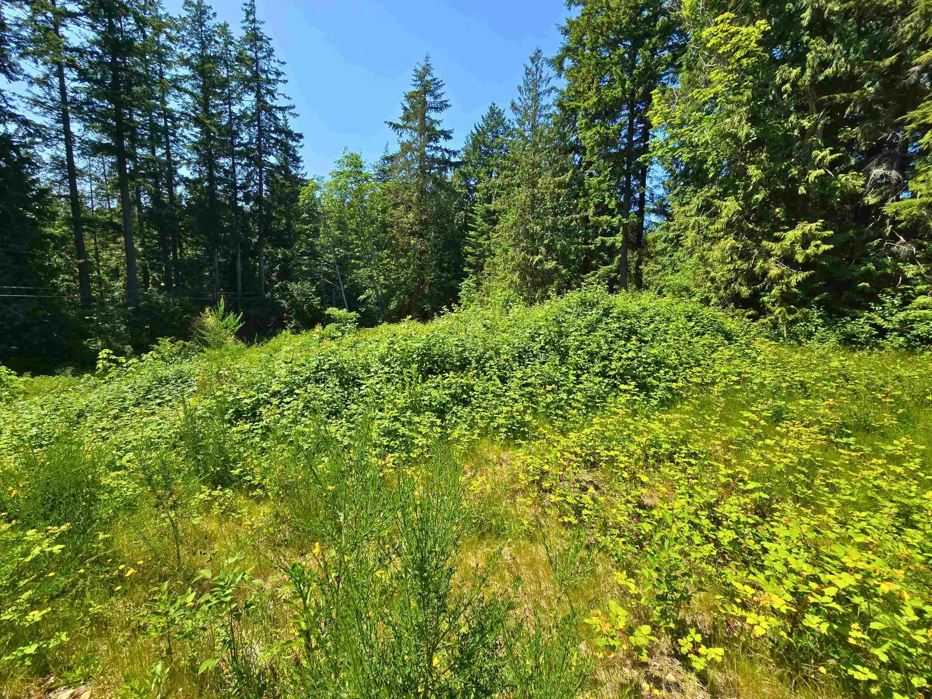 Property at LOT 5 LOWER ROAD, Roberts Creek, BC