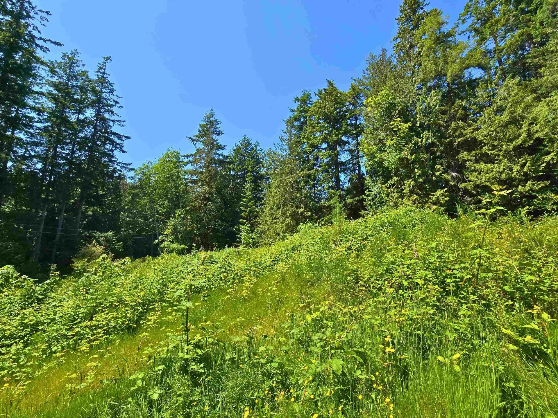 Property at LOT 5 LOWER ROAD, Roberts Creek, BC