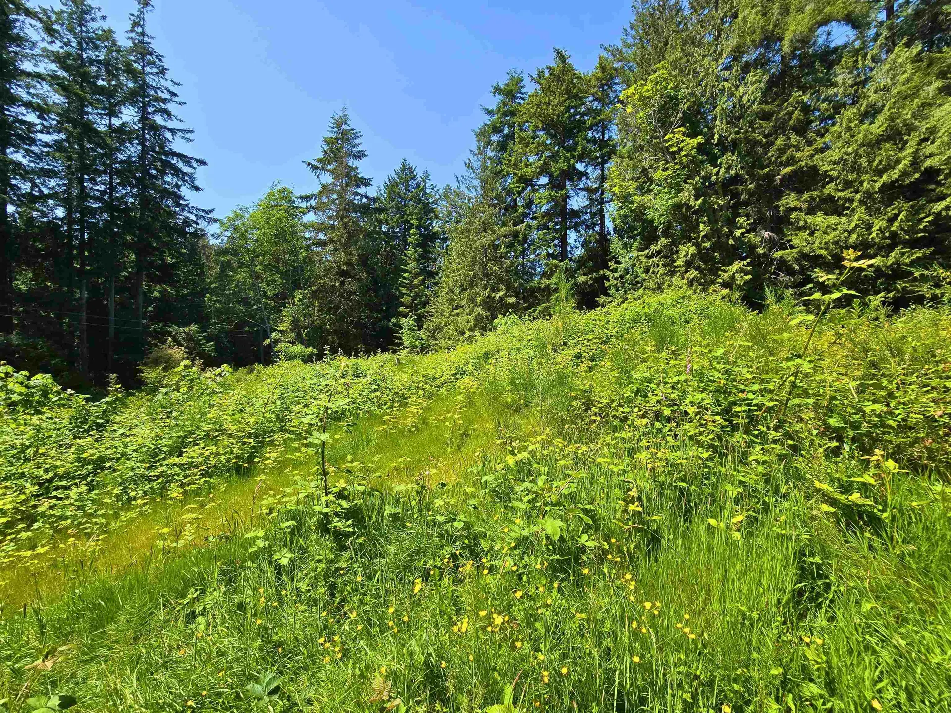 Property at LOT 5 LOWER ROAD, Roberts Creek, BC