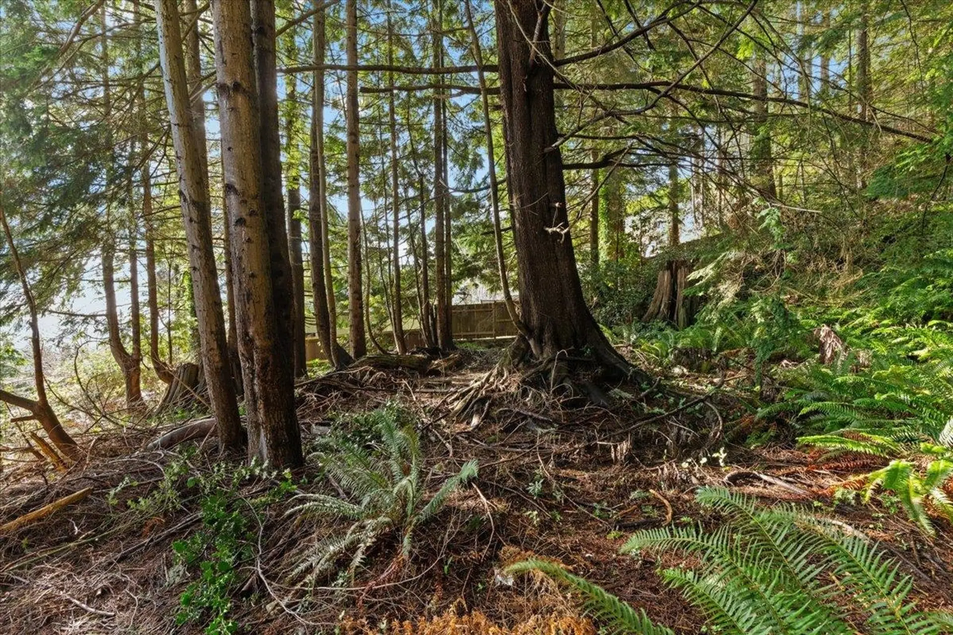 Property at 478 CRAIGMOHR DRIVE, West Vancouver, BC