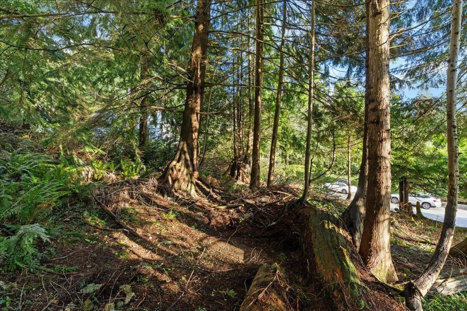 Property at 478 CRAIGMOHR DRIVE, West Vancouver, BC