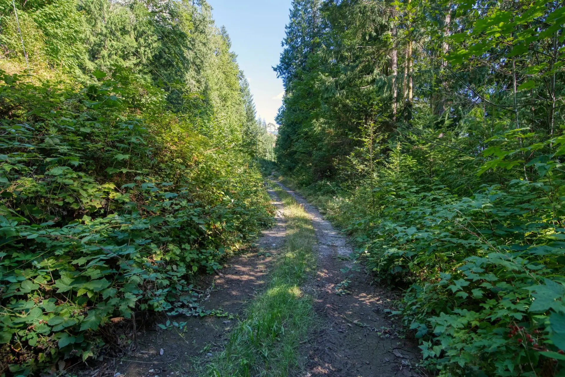 Property at LOT 4 KAYAK ROAD, Egmont, BC