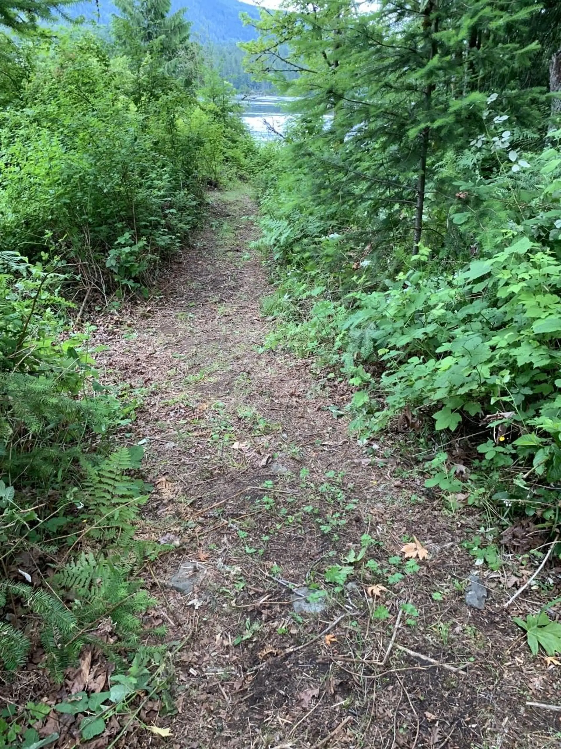 Property at LOT 4 KAYAK ROAD, Egmont, BC