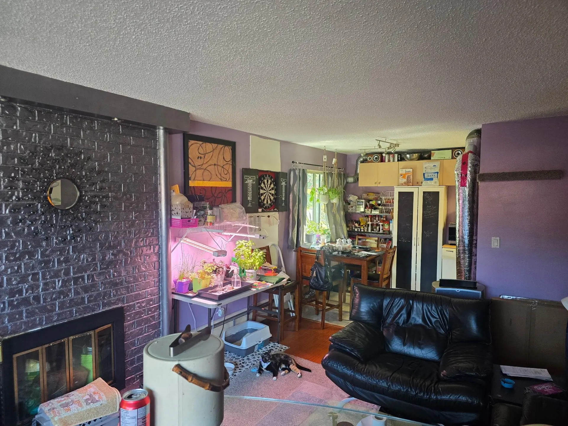#204 3925 Kingsway Street - Image 3