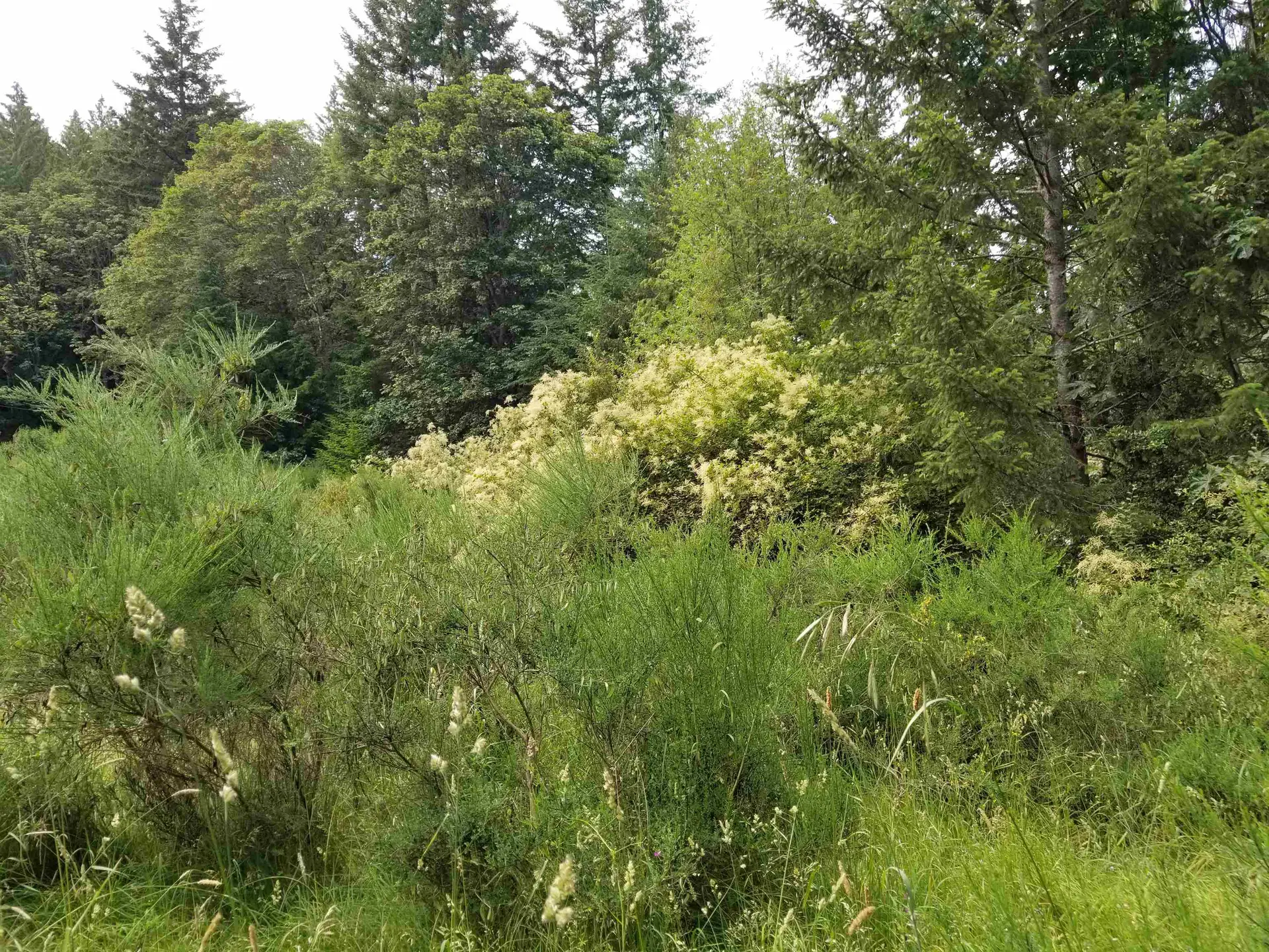 Property at LOT A LORD ROAD, Galiano Island, BC