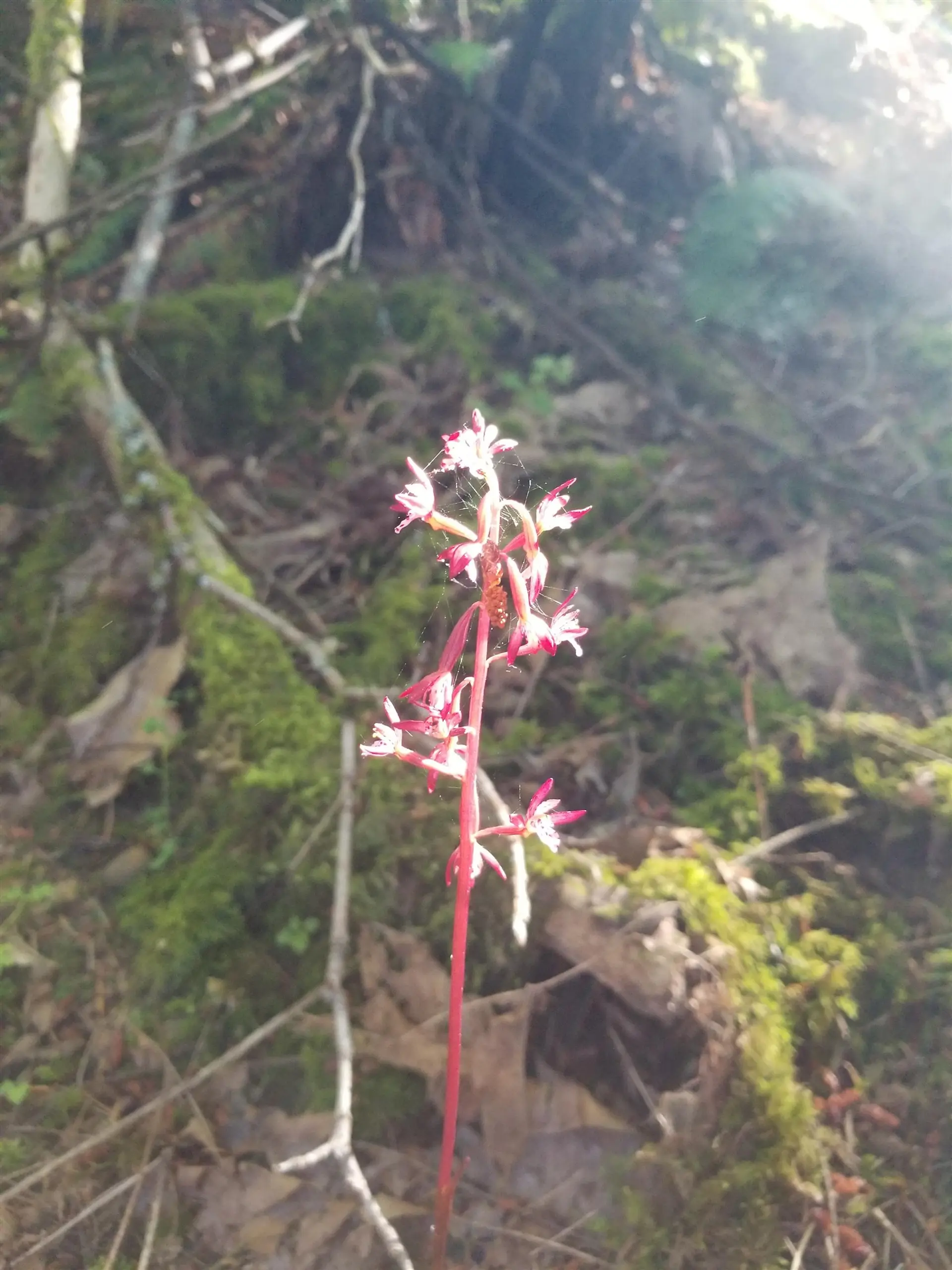 Property at LOT A LORD ROAD, Galiano Island, BC