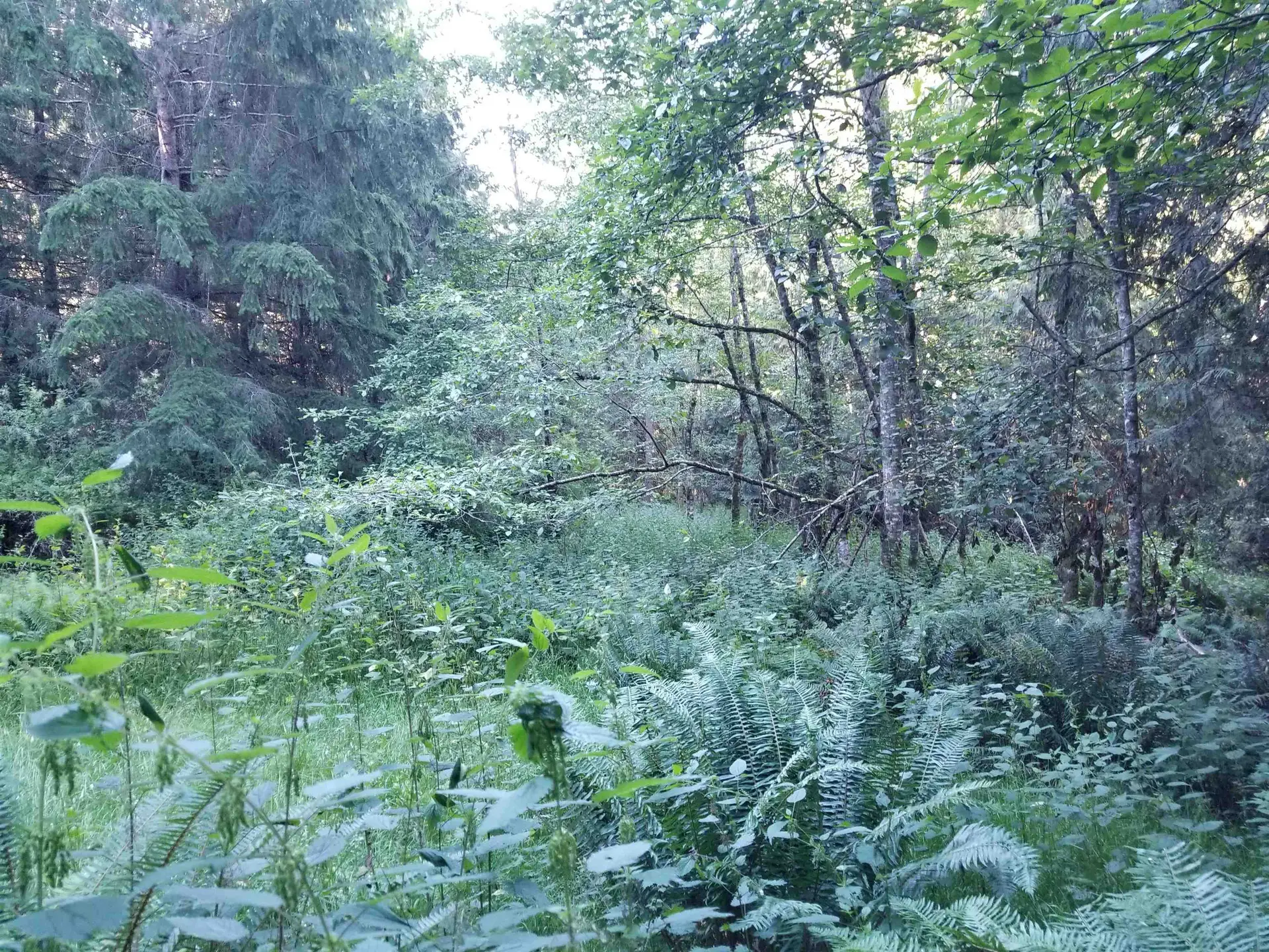 Property at LOT A LORD ROAD, Galiano Island, BC