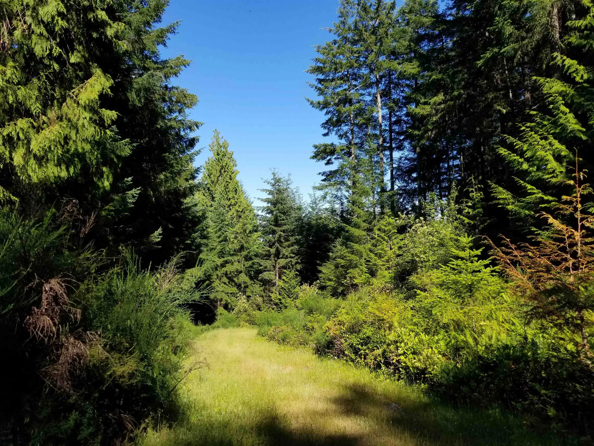 Property at LOT A LORD ROAD, Galiano Island, BC