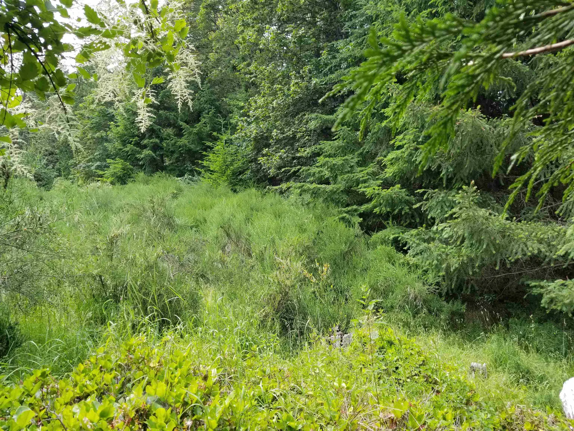 Property at LOT A LORD ROAD, Galiano Island, BC