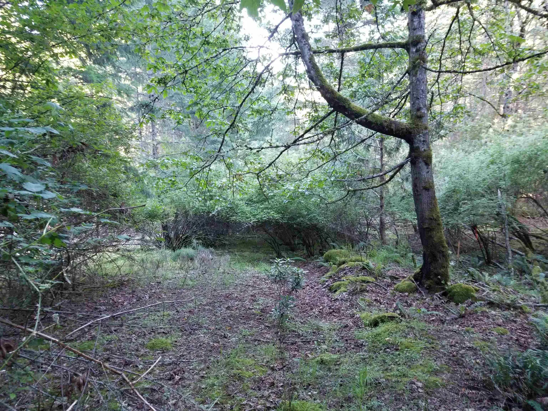 Property at LOT A LORD ROAD, Galiano Island, BC