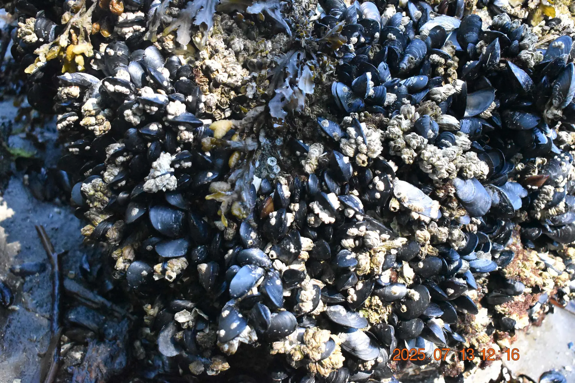 Property at LOT17 POISE ISLAND DRIVE, Sechelt, BC