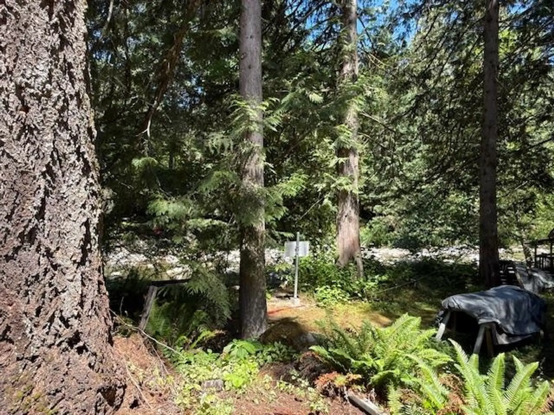 Property at #B10 65443 EMORY CREEK ROAD, Hope, BC