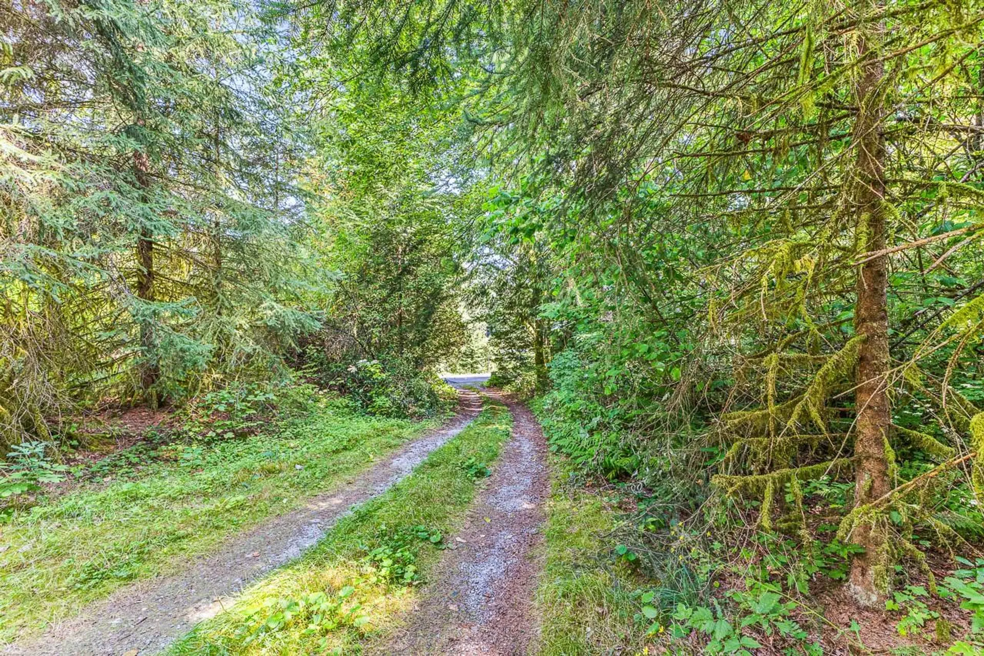 Property at 11167 284TH STREET, Maple Ridge, BC