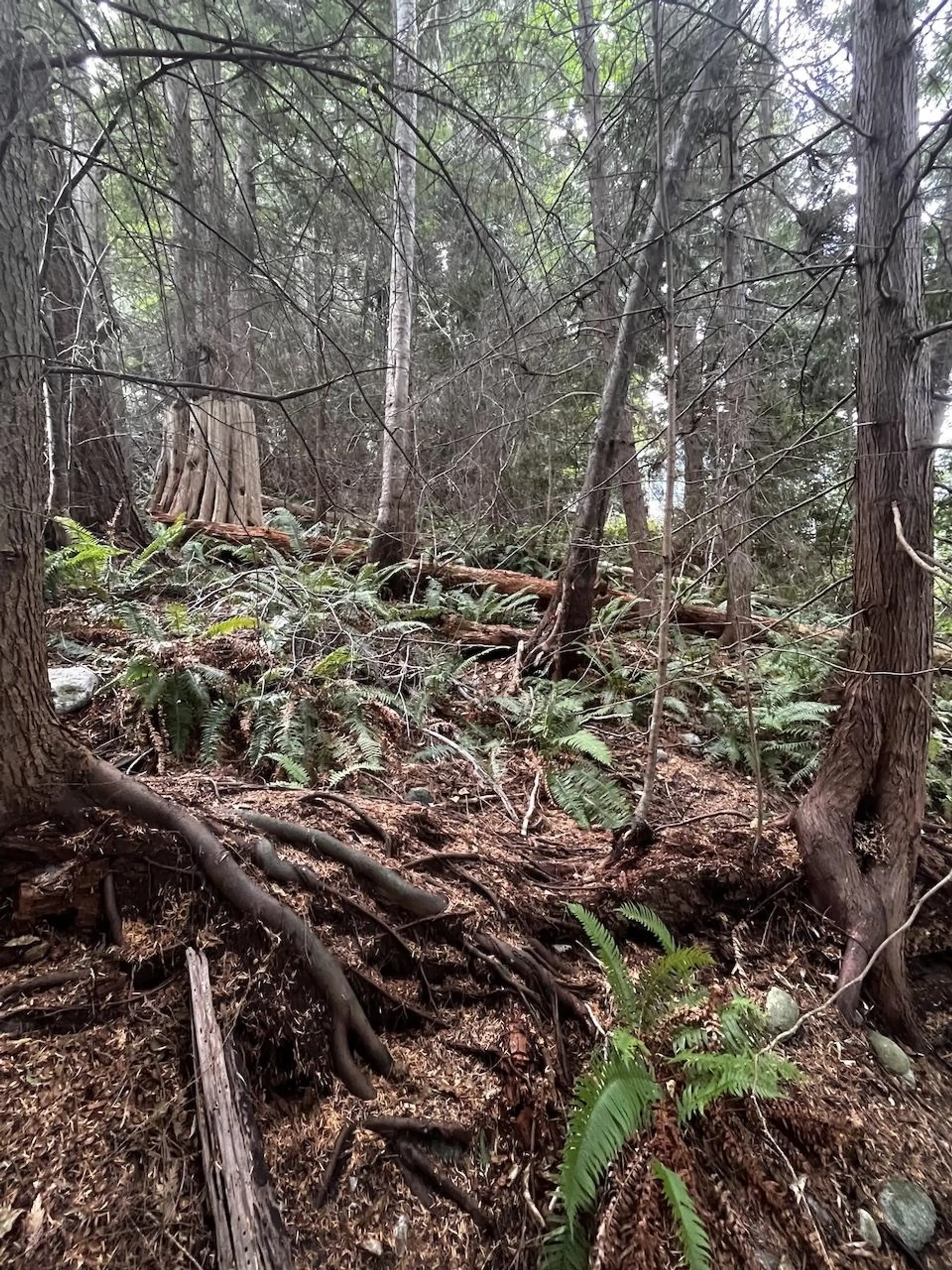 Property at LOT 34 DEERHORN DRIVE, Sechelt, BC