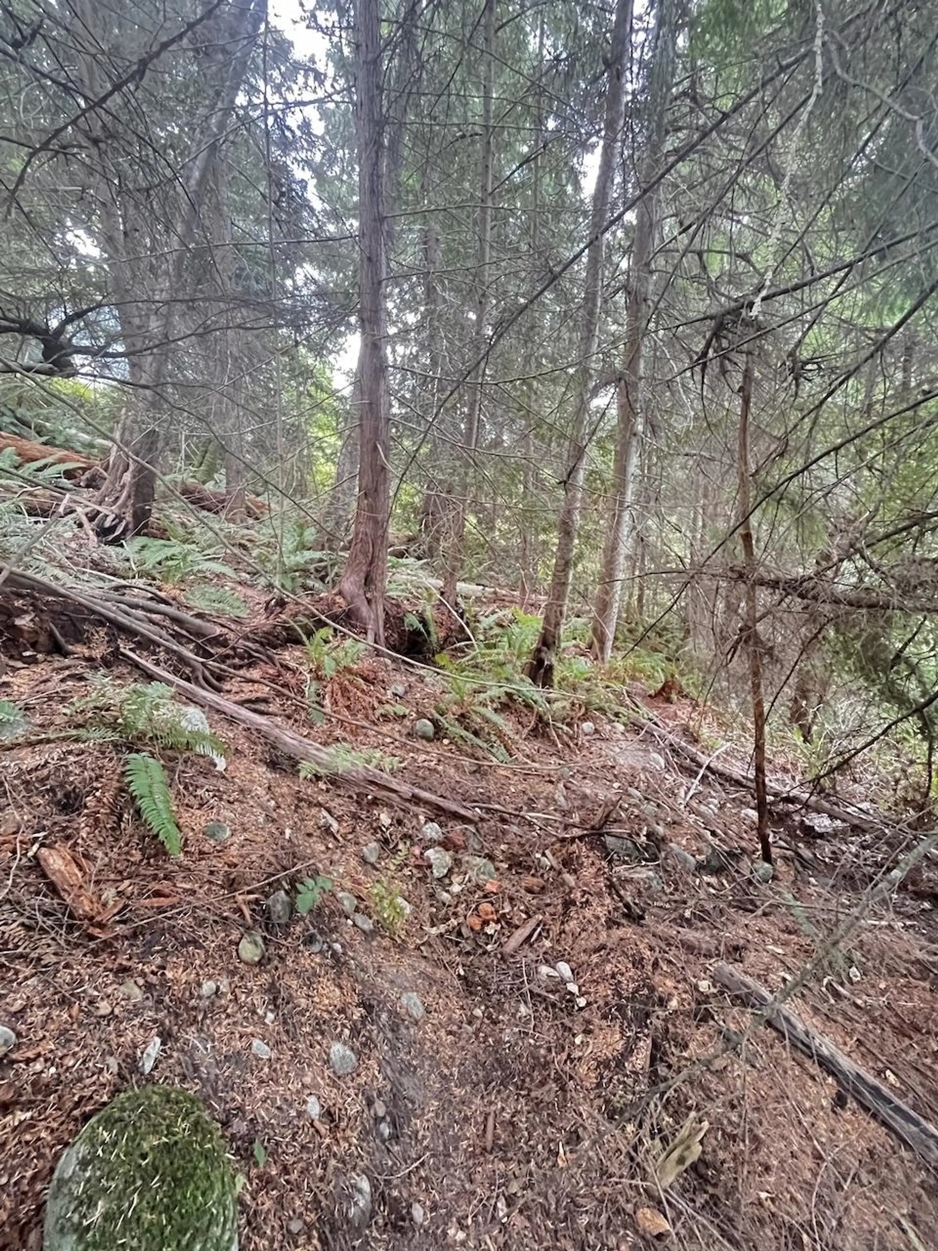 Property at LOT 34 DEERHORN DRIVE, Sechelt, BC