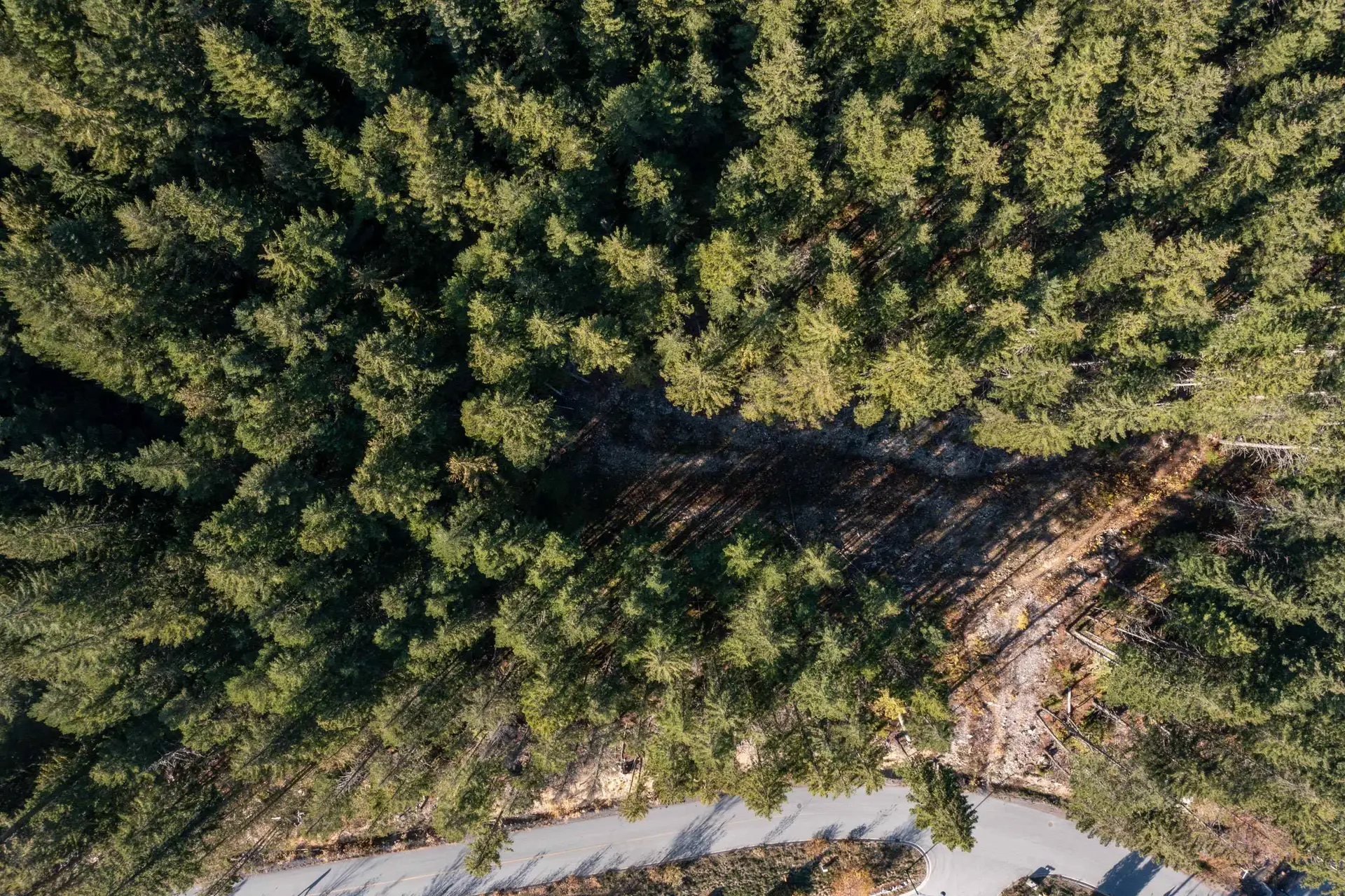 Property at 8590 ASHLEIGH MCIVOR DRIVE, Whistler, BC