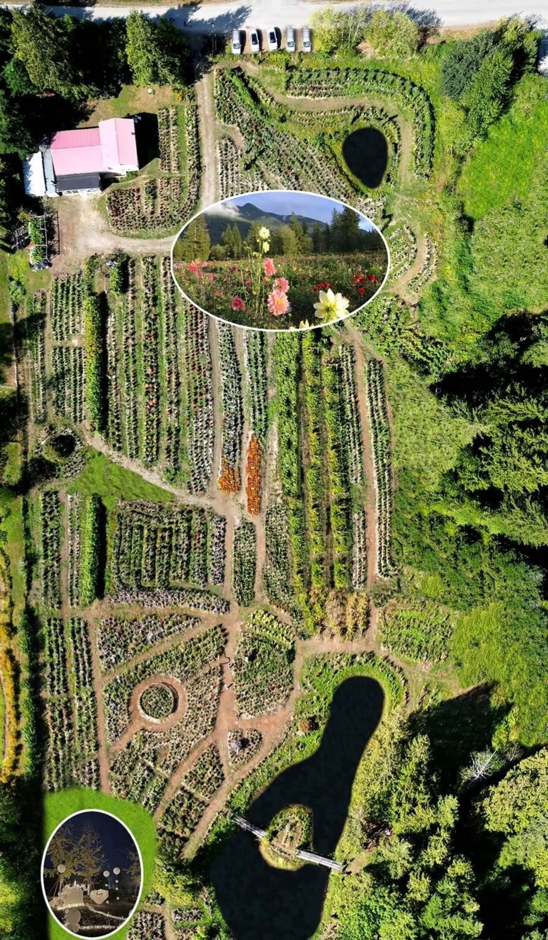 Property at 13842 Spratt Road, Mission, BC