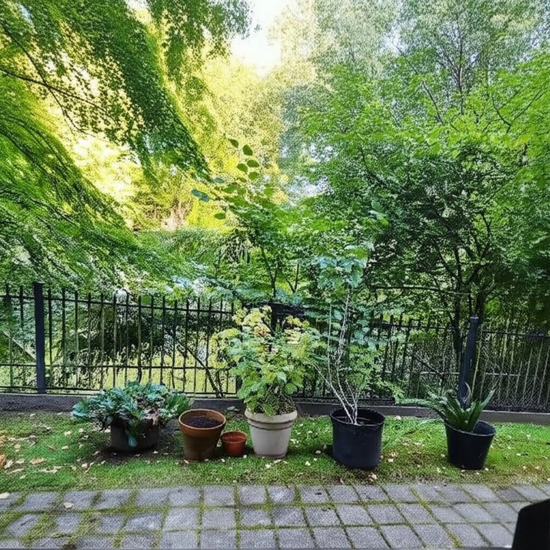 #35 1561 Booth Avenue - Image 11