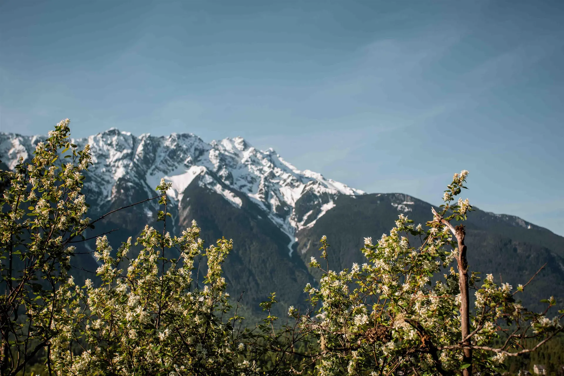 Property at 9002 SUN GOD MOUNTAIN WAY, Pemberton, BC