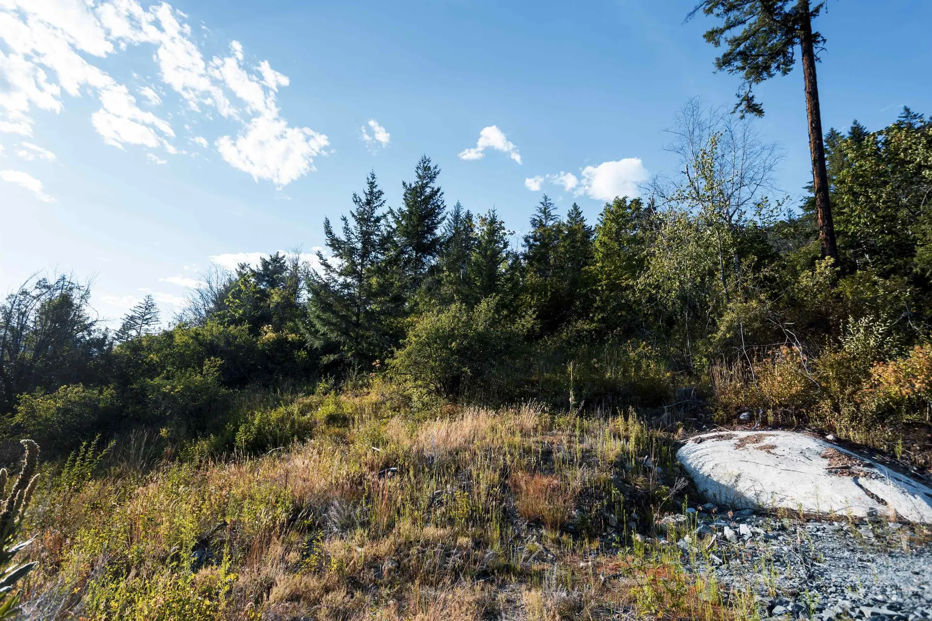 Property at 9002 SUN GOD MOUNTAIN WAY, Pemberton, BC