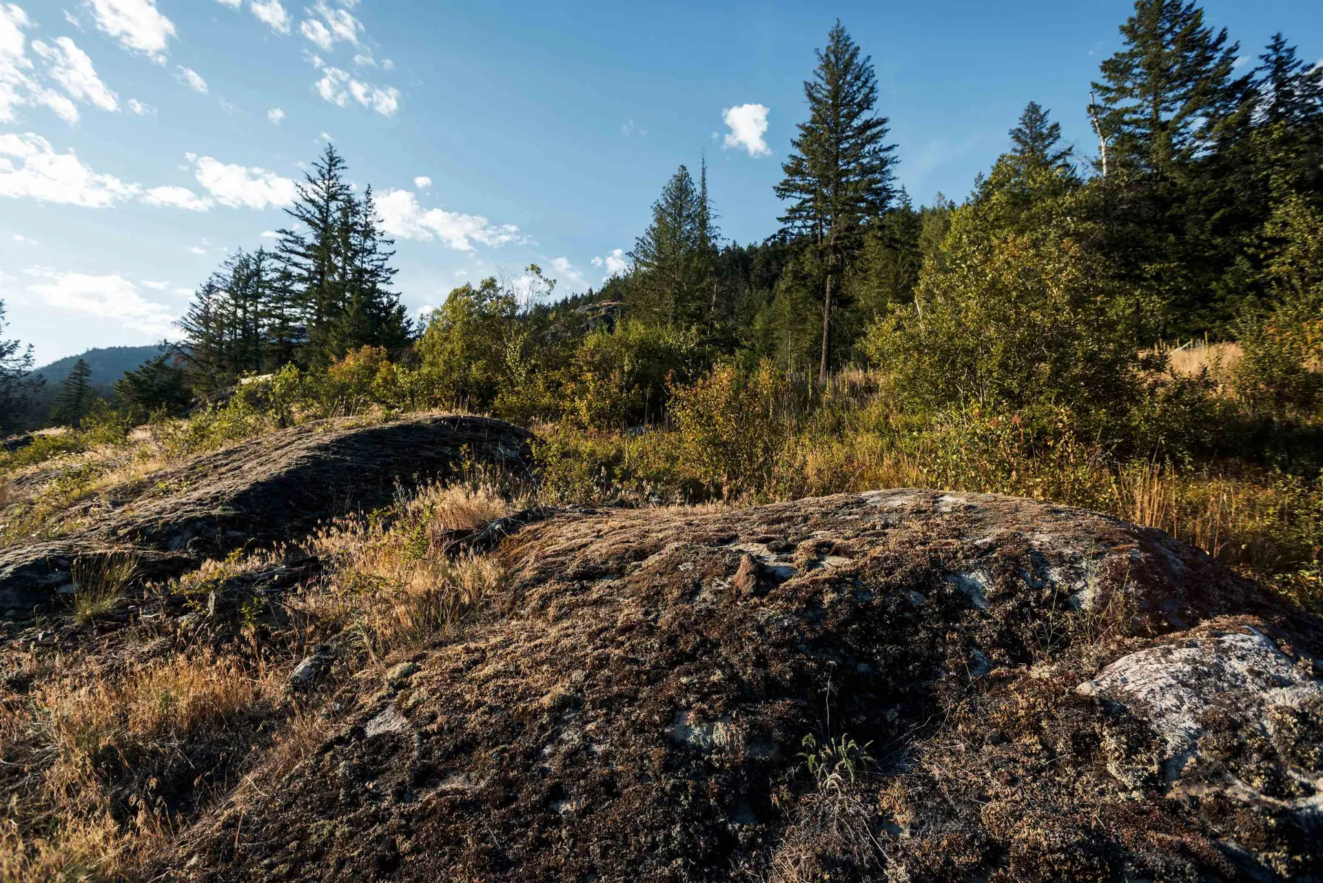 Property at 9004 SUN GOD MOUNTAIN WAY, Pemberton, BC