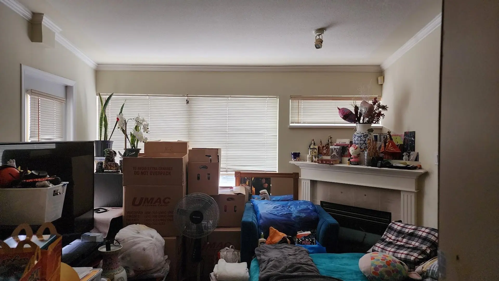 #423 2238 Kingsway - Image 4