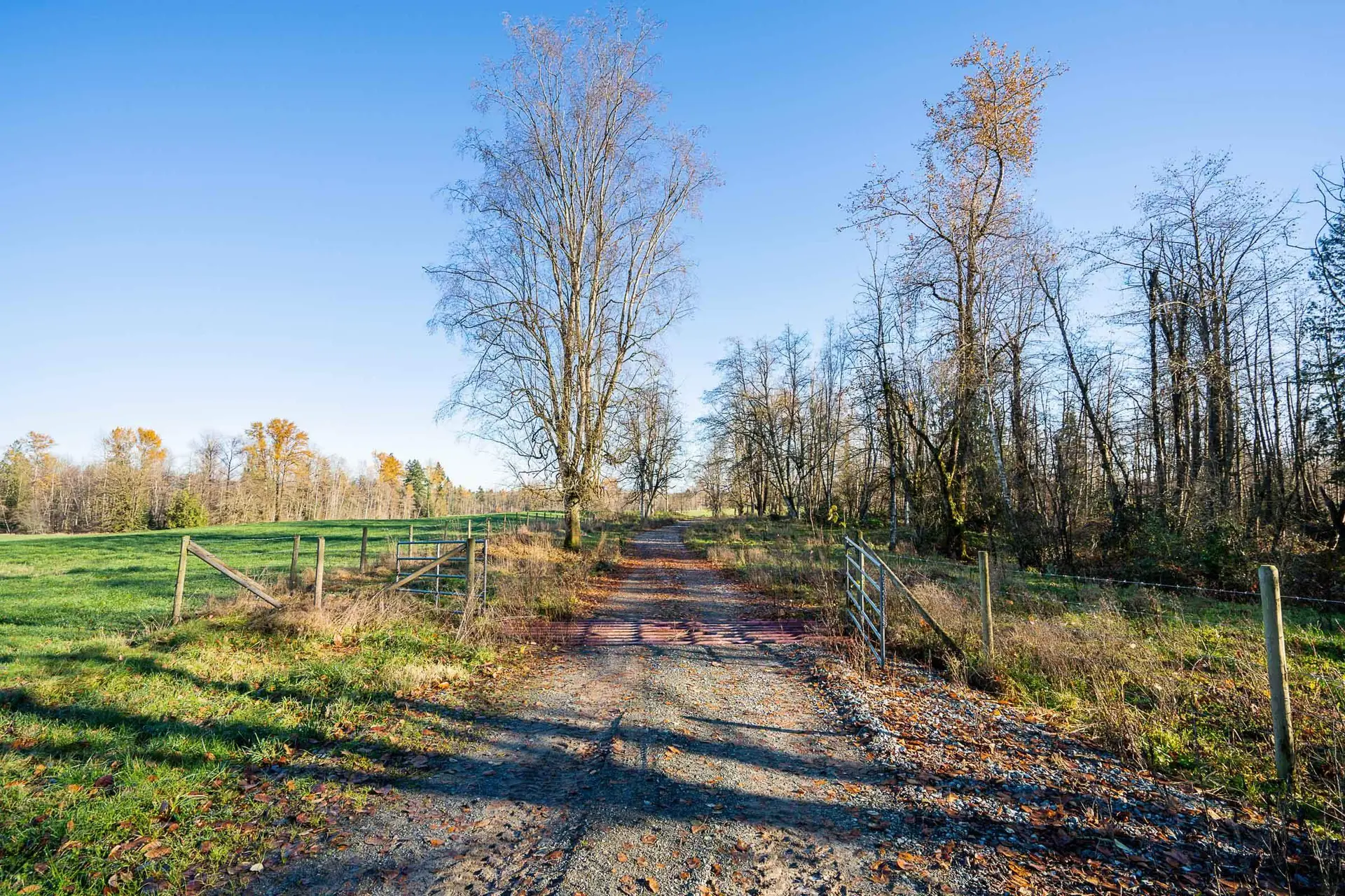 Property at 6290 272 STREET, Langley, BC