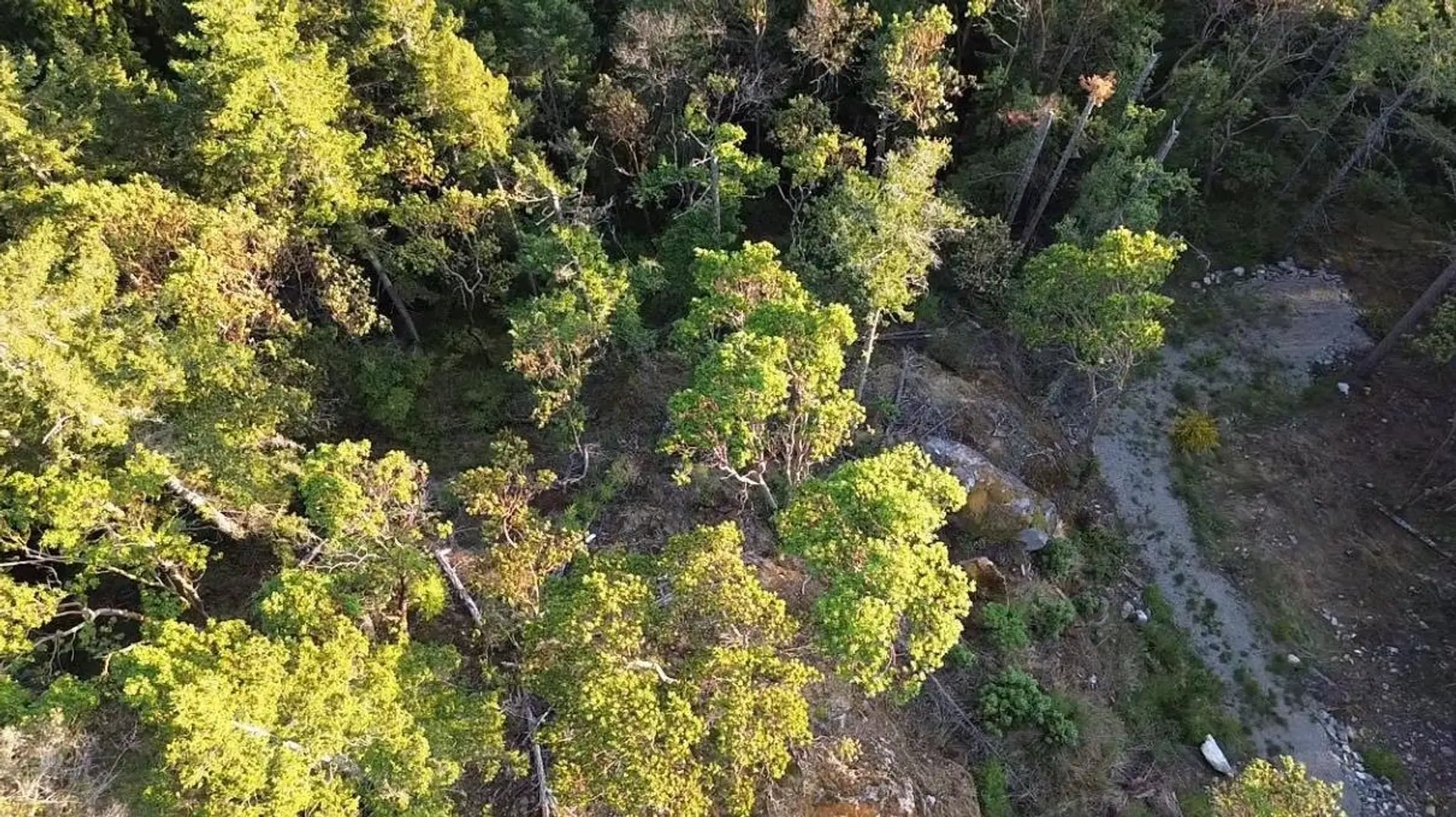 Property at 11793 SUNSHINE COAST HIGHWAY, Halfmoon Bay, BC