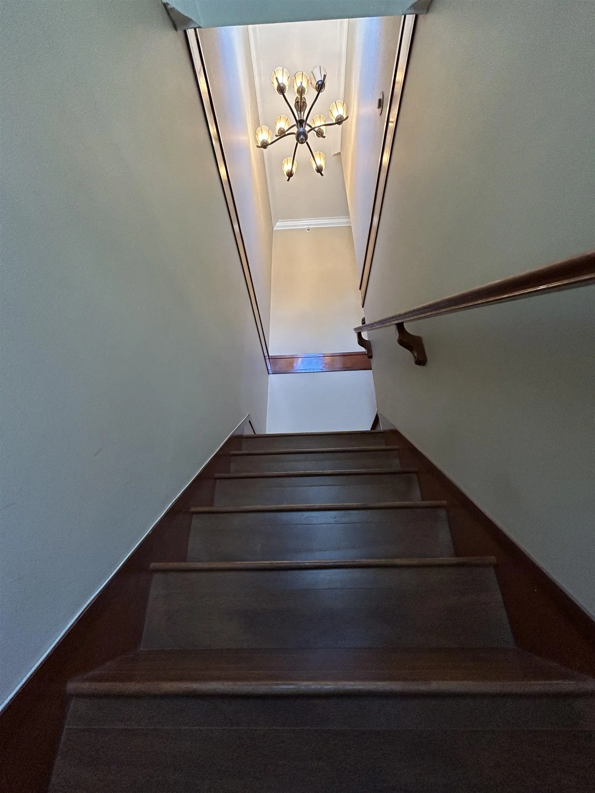 Property at 8463 OAK STREET, Vancouver, BC