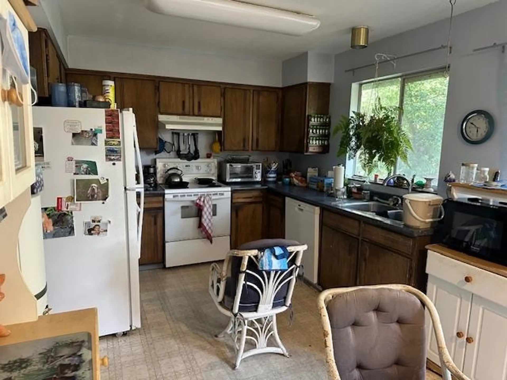 10440 Sorrel Drive - Image 7