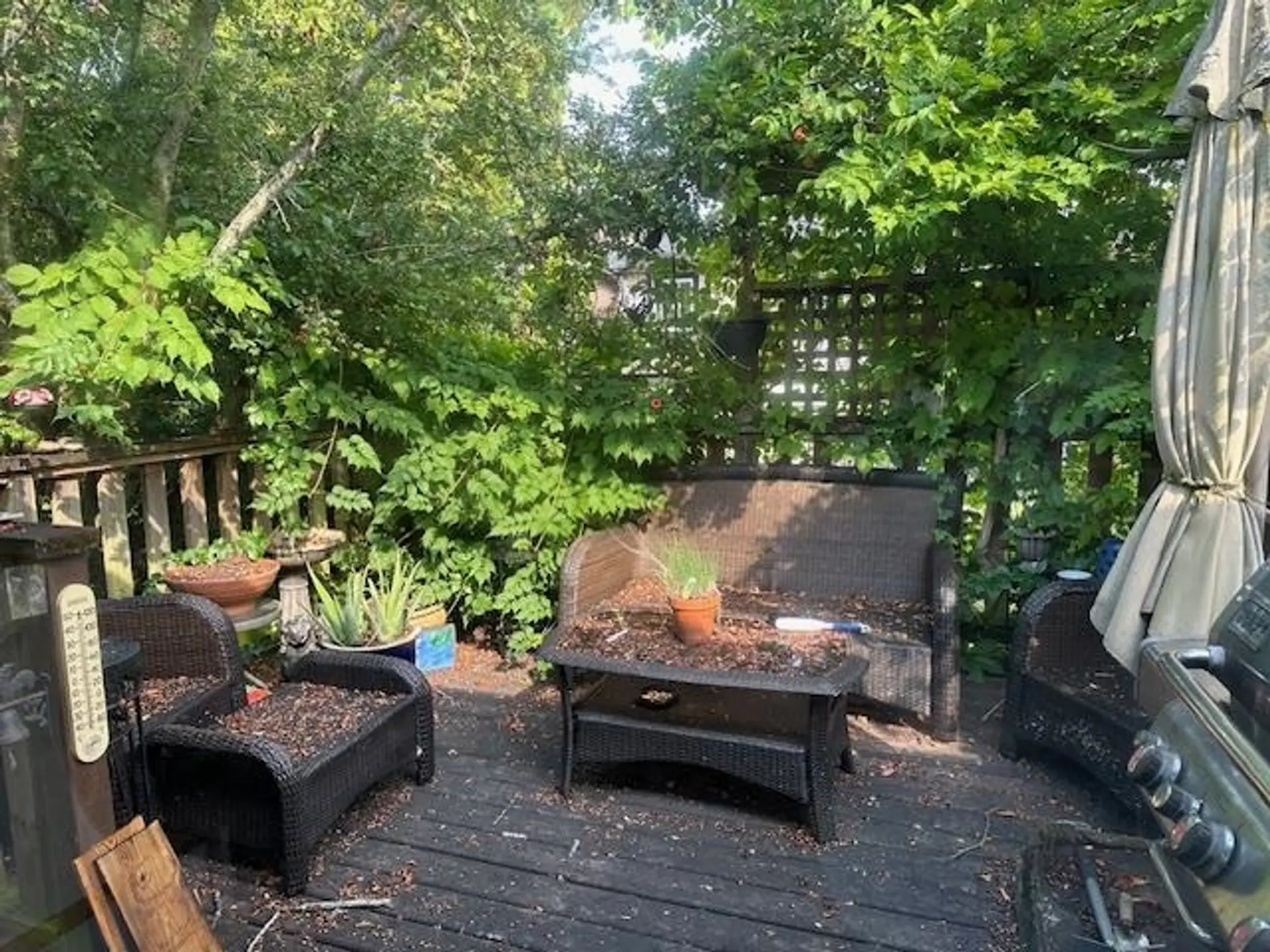 10440 Sorrel Drive - Image 5
