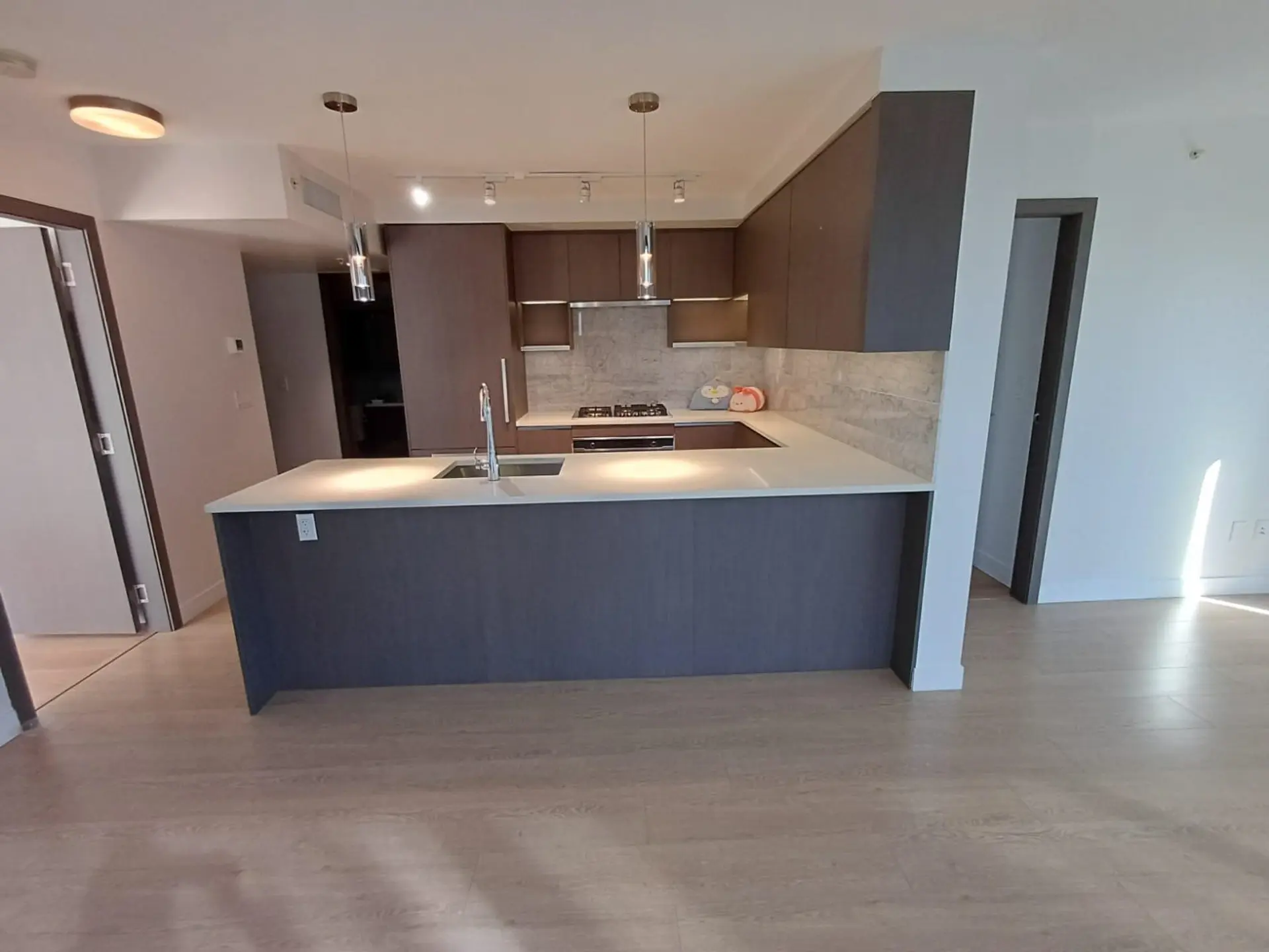 #1003 8988 Patterson Road - Image 3