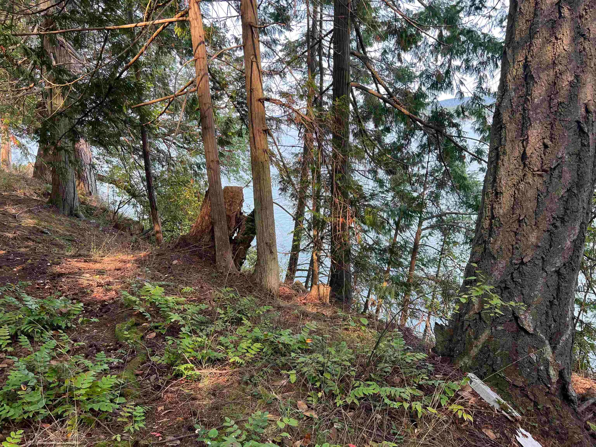 Property at #LOT 2 NORTH END ROAD, Salt Spring Island, BC