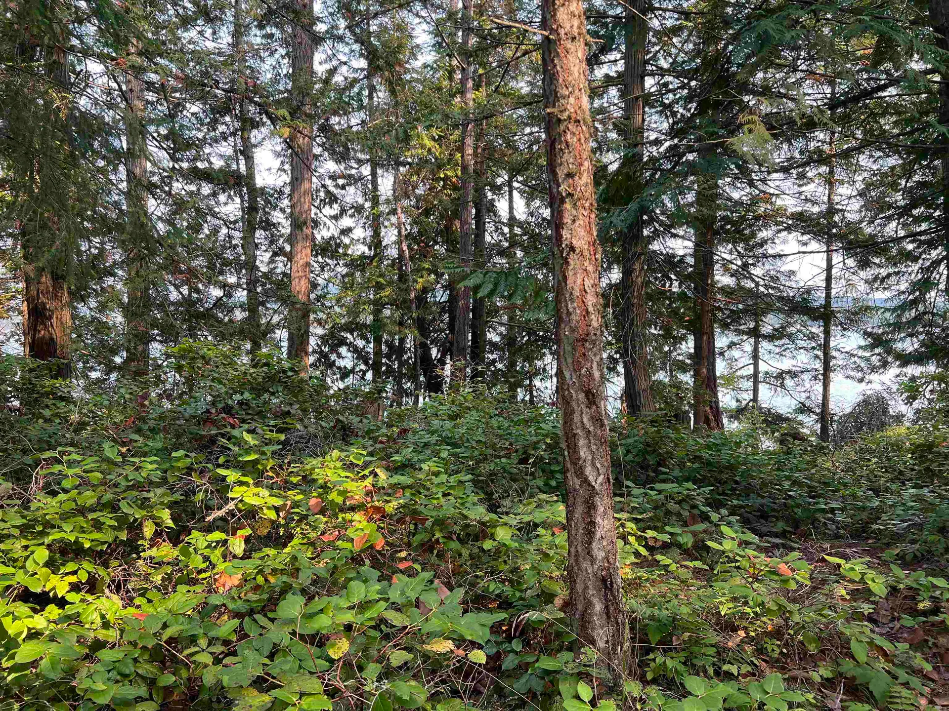 Property at #LOT 2 NORTH END ROAD, Salt Spring Island, BC