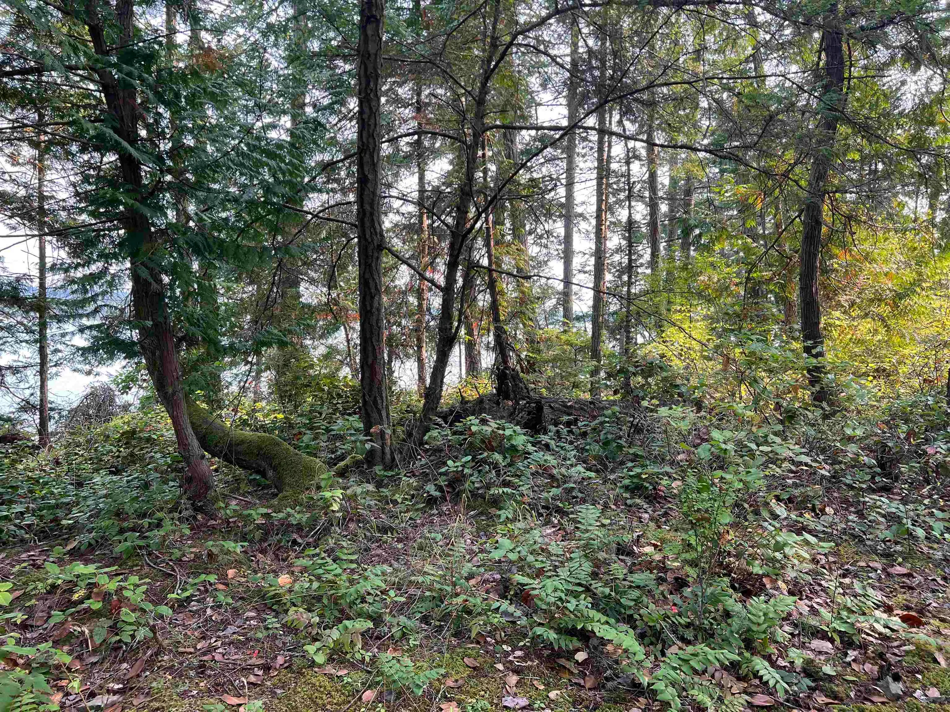 Property at #LOT 2 NORTH END ROAD, Salt Spring Island, BC