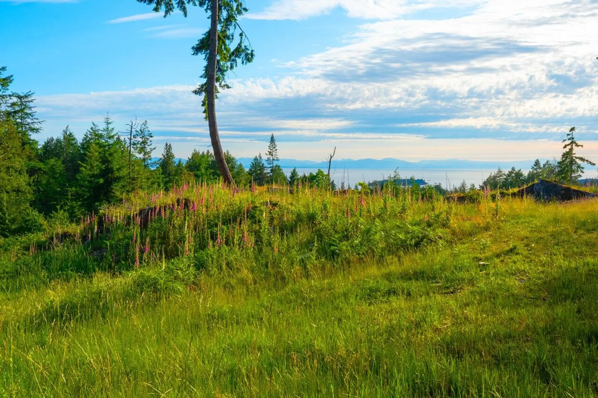 Property at LOT 2 INNISFREE LANE, Bowen Island, BC