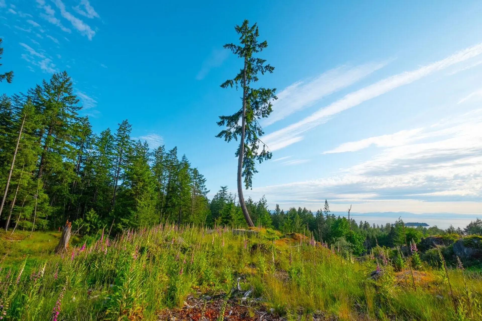 Property at LOT 2 INNISFREE LANE, Bowen Island, BC