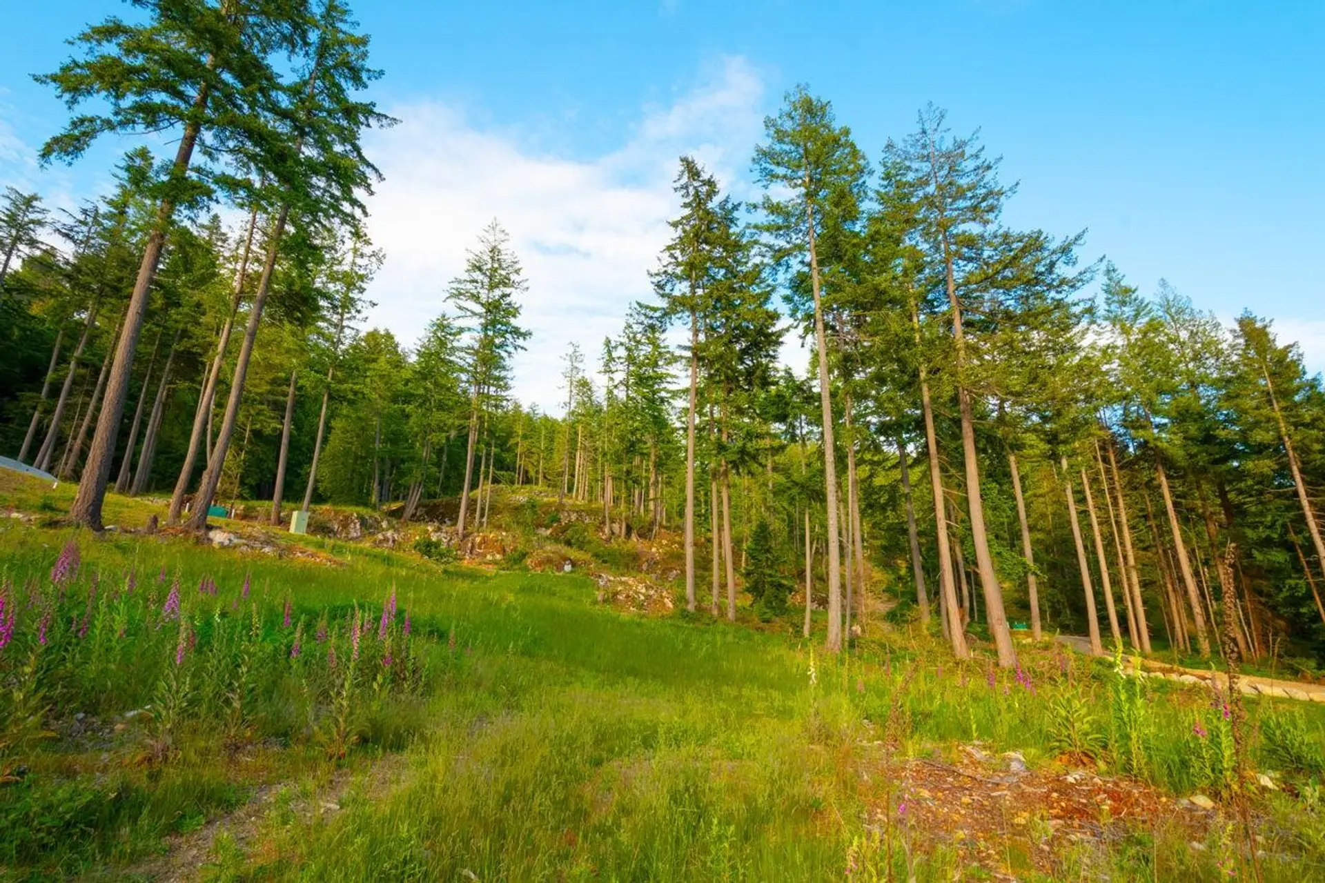 Property at LOT 2 INNISFREE LANE, Bowen Island, BC