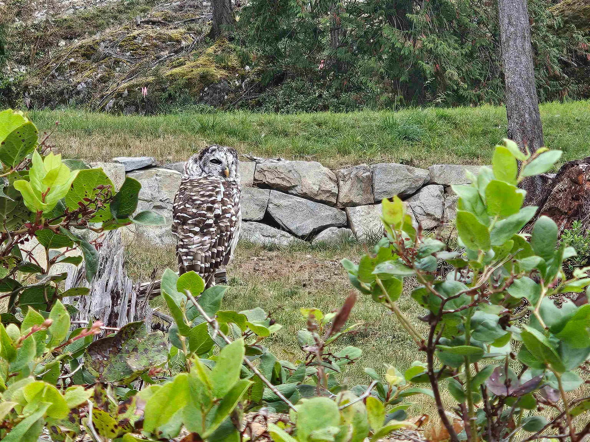 Property at LOT 6 INNISFREE LANE, Bowen Island, BC