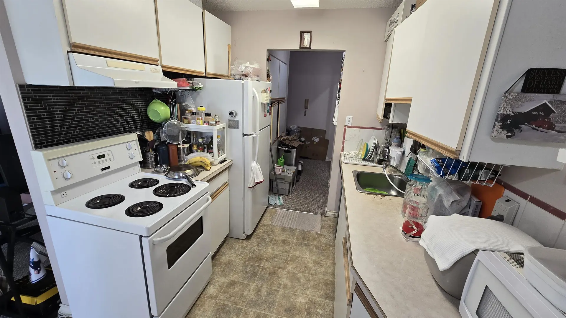 #237 8091 Ryan Road - Image 13