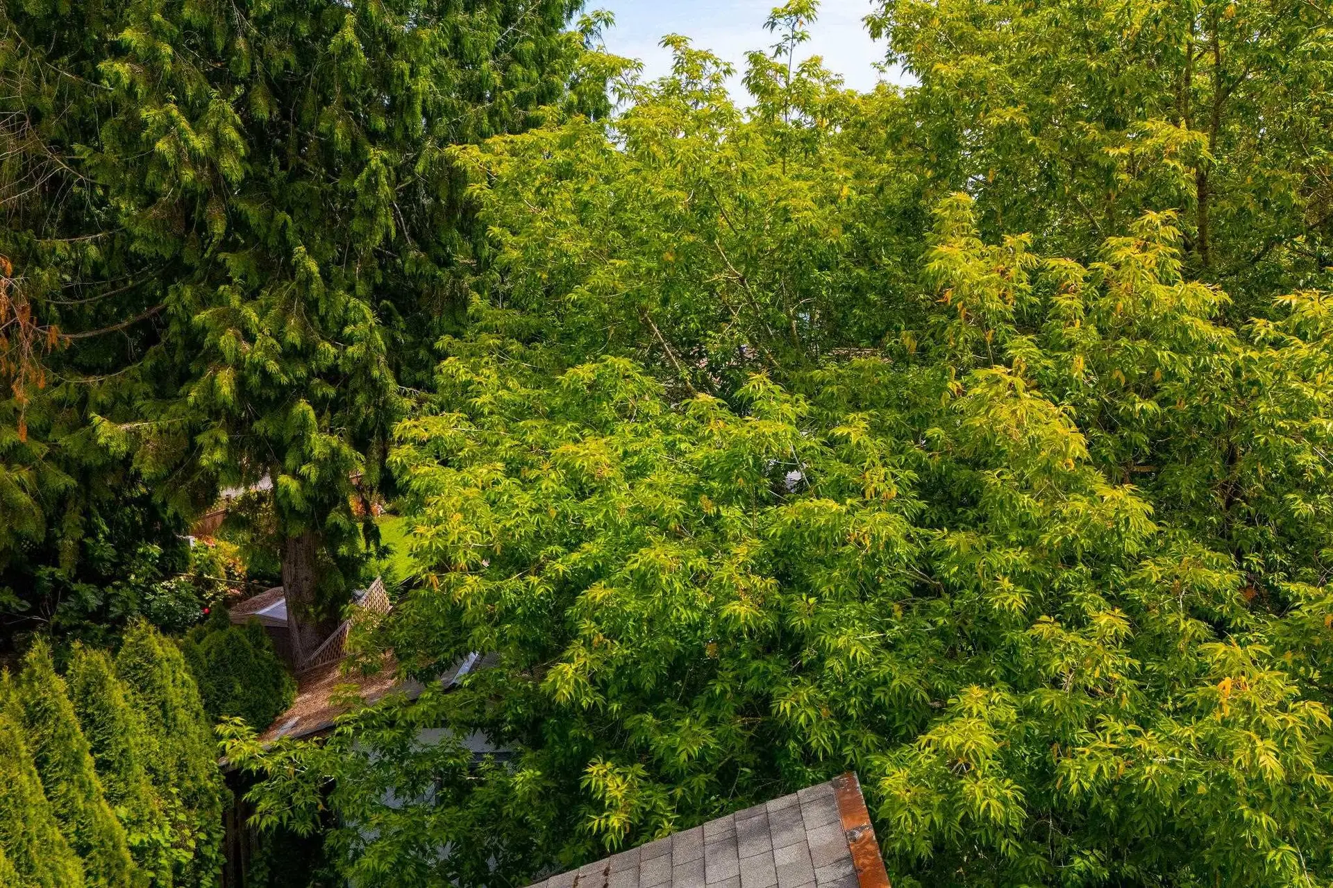 7092 129a Street - Image 13